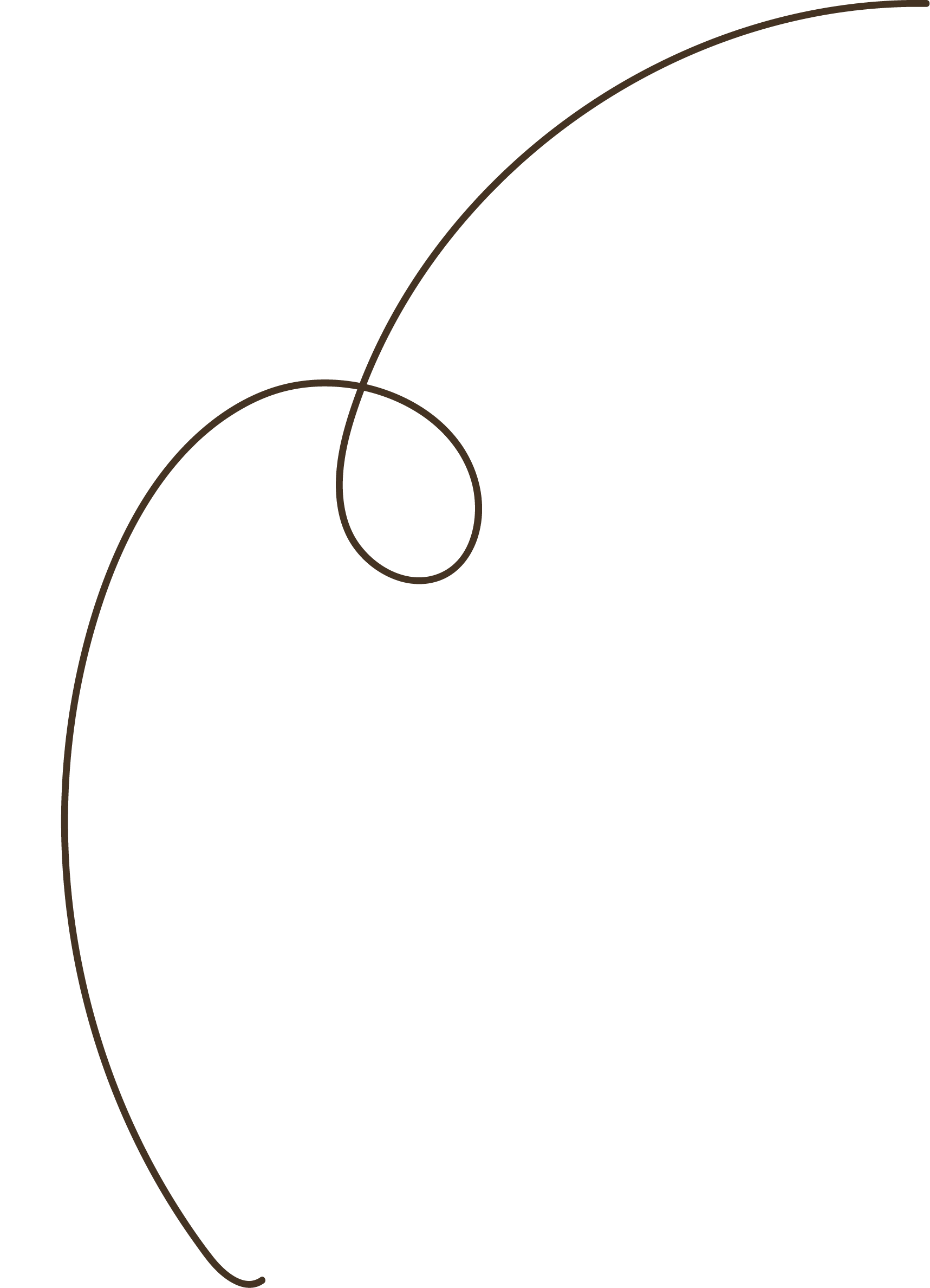 Black background with thin, curved, brownish lines forming abstract shapes.