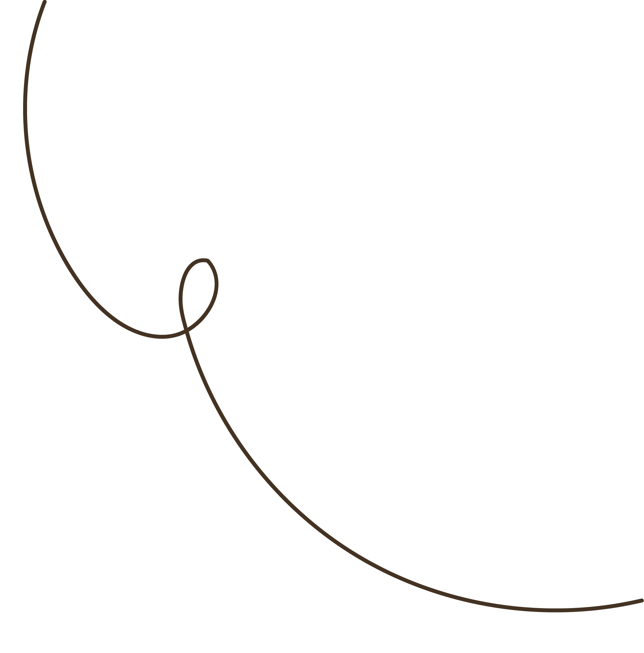 Close-up of a single coffee bean with a dark background.