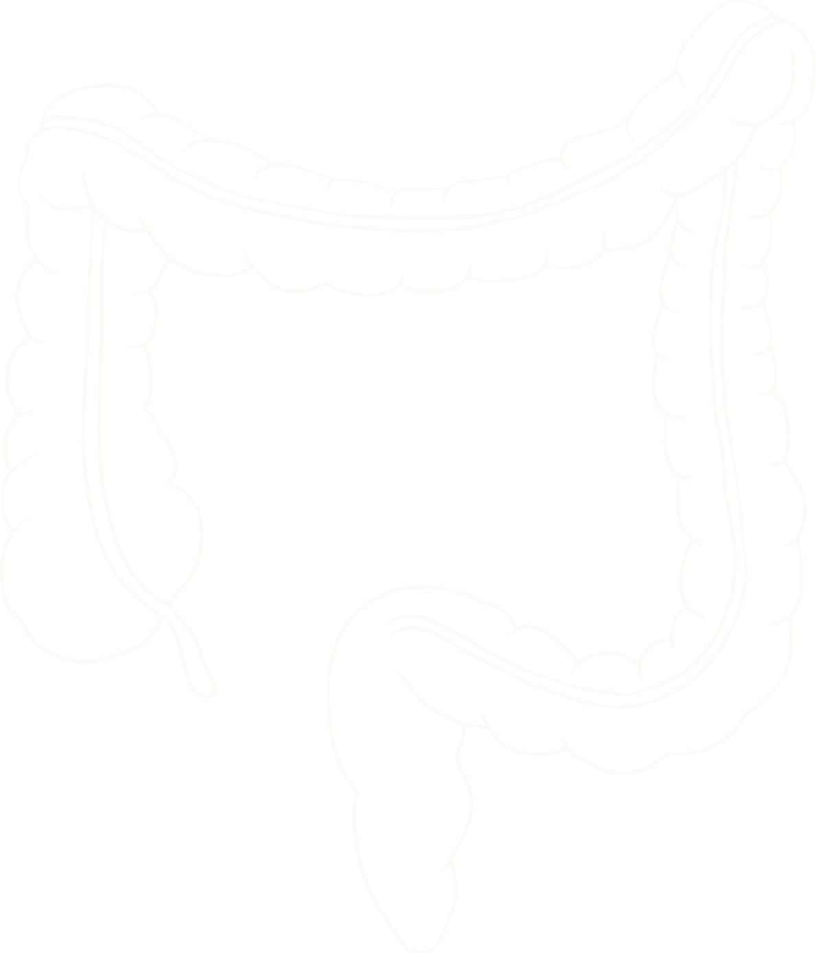 Line drawing of human large and small intestines against a black background.