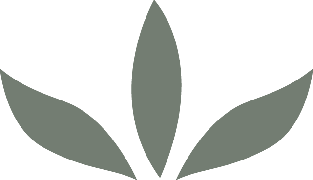 Minimalist plant illustration with five green leaves arranged in a fan shape