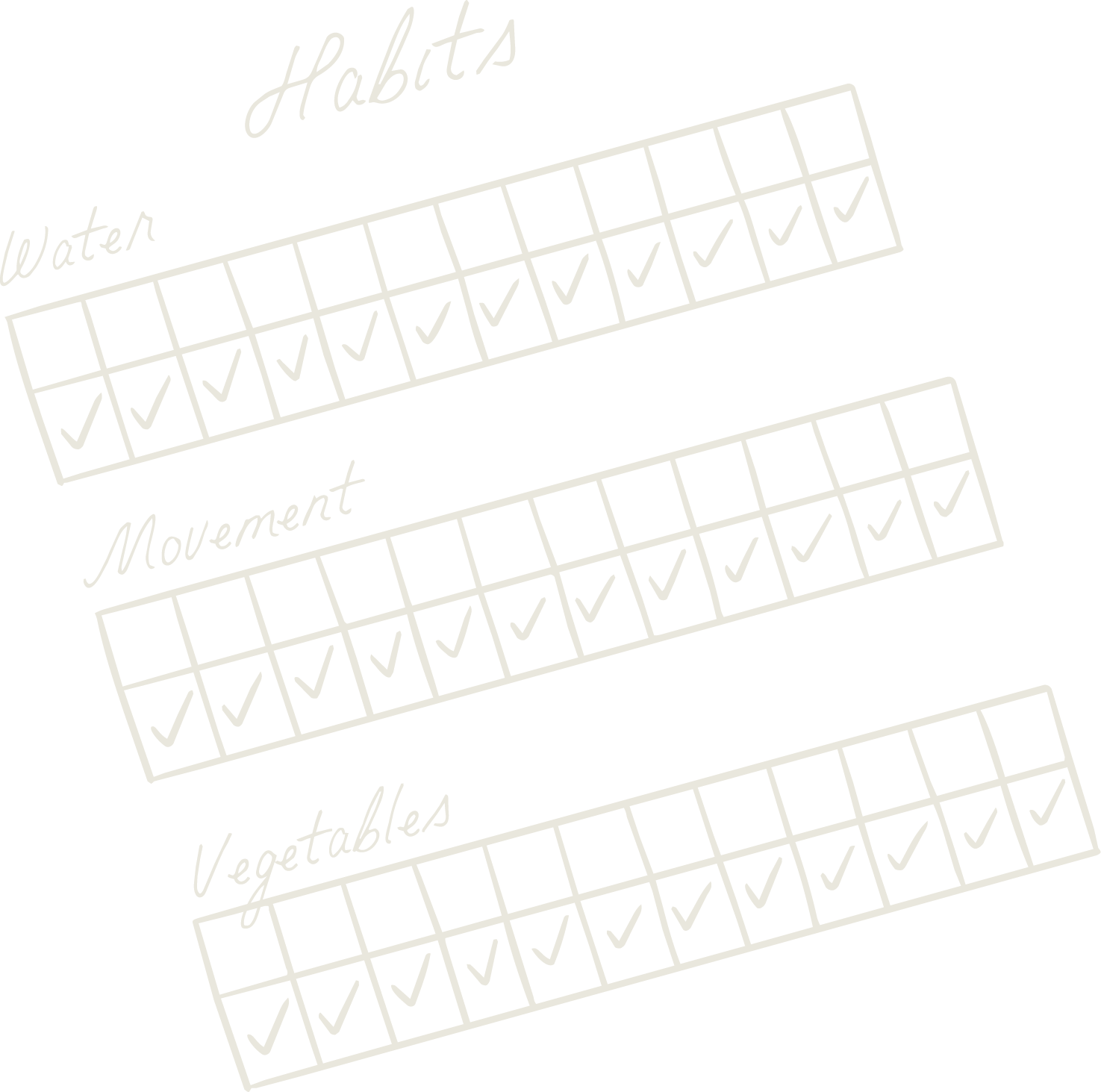 A black background with white handwritten-style text and checkmark boxes in three sections labeled Habits, Water, Movement, and Vegetables, each with checkmarks in some boxes, indicating progress or adherence.