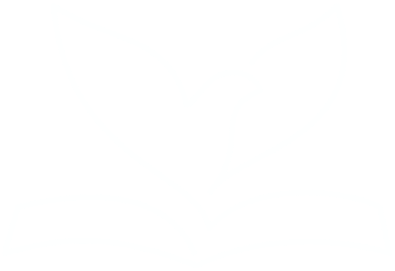 Biblical Counselling