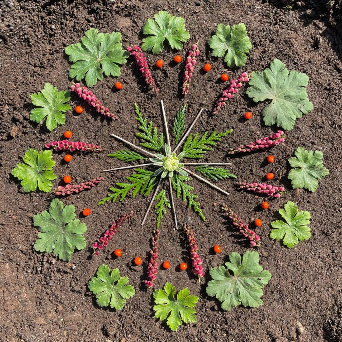Backyard fun in the rare late winter sunshine. #naturemandalas #natureart #morningaltars #mandala #naturelovers #naturecreativity