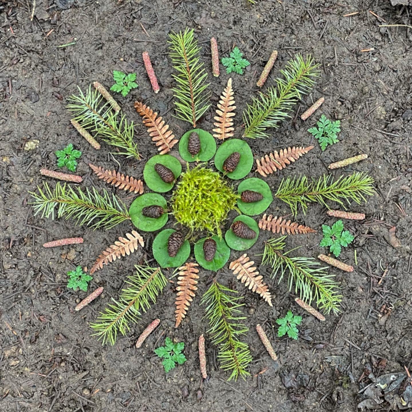 A cold day in the forest. The promise of spring inspired me. The next time I will have many more beautiful tender bits of nature to work with. #natureart #naturemandala #forestart #mandala