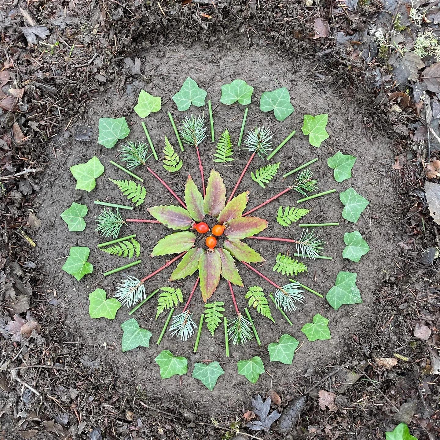 Scrounging around for foliage in the winter is challenging, but creativity rewarding.  #natureart #naturemandala #natureart