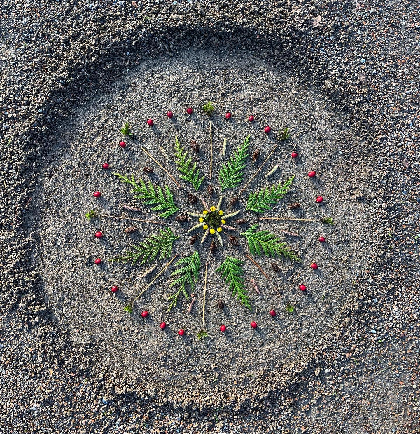Found inspiration in the outfield shagging balls. Made the best out of the limited foliage. #natureart #naturemandala #mandala #outfield