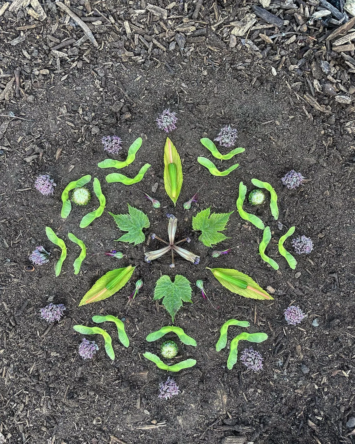 A little spark of creativity came to me today after bumping into a bright light in my life! Feels so good to ground myself in nature 💚. #natureart #naturemandala #artfromnature #morningaltars