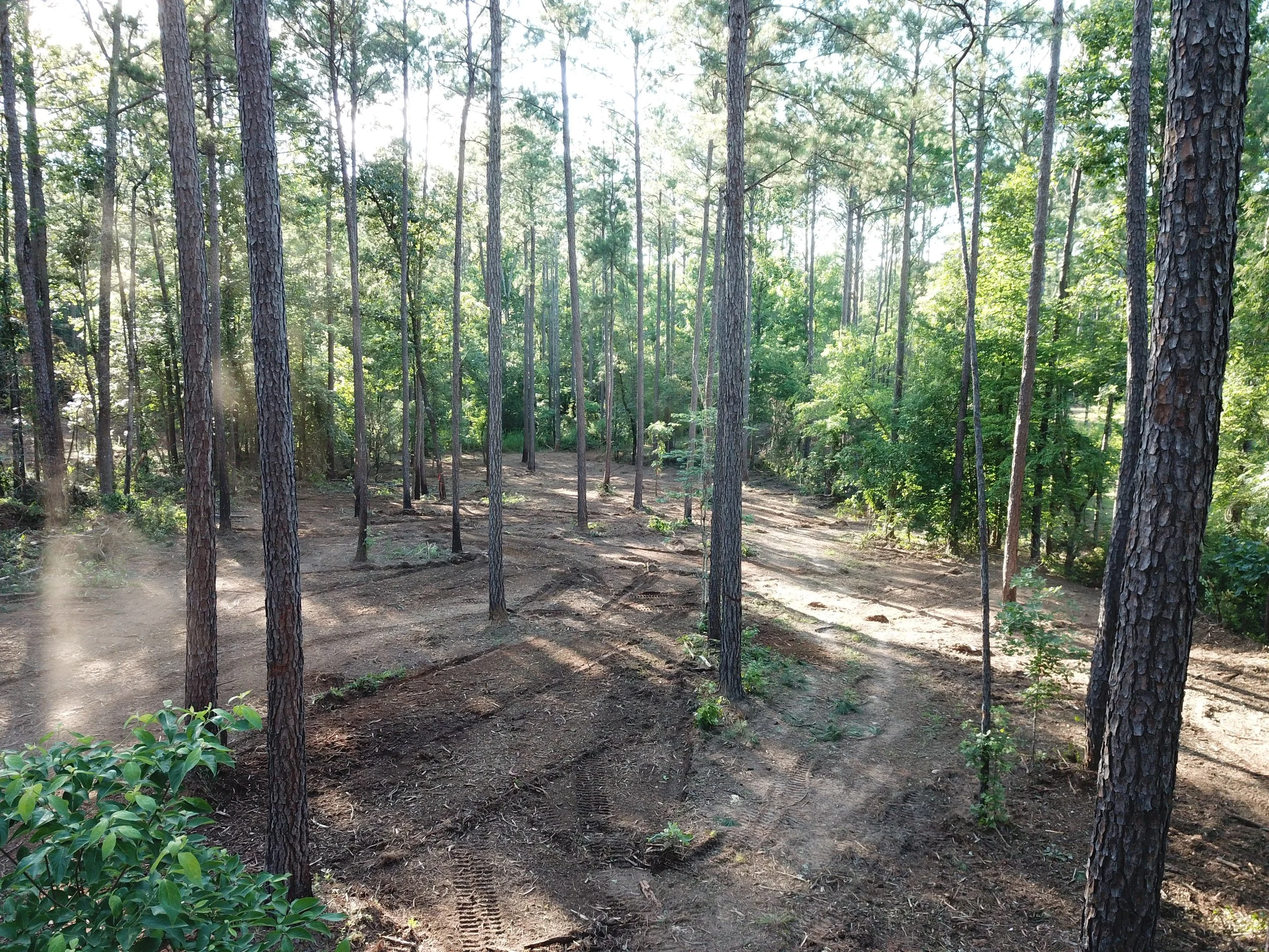 Forestry Mulching