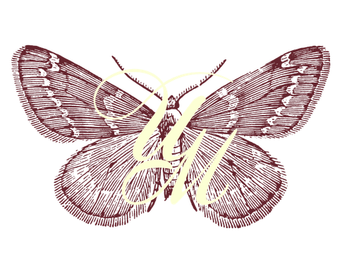Untold Moments Content