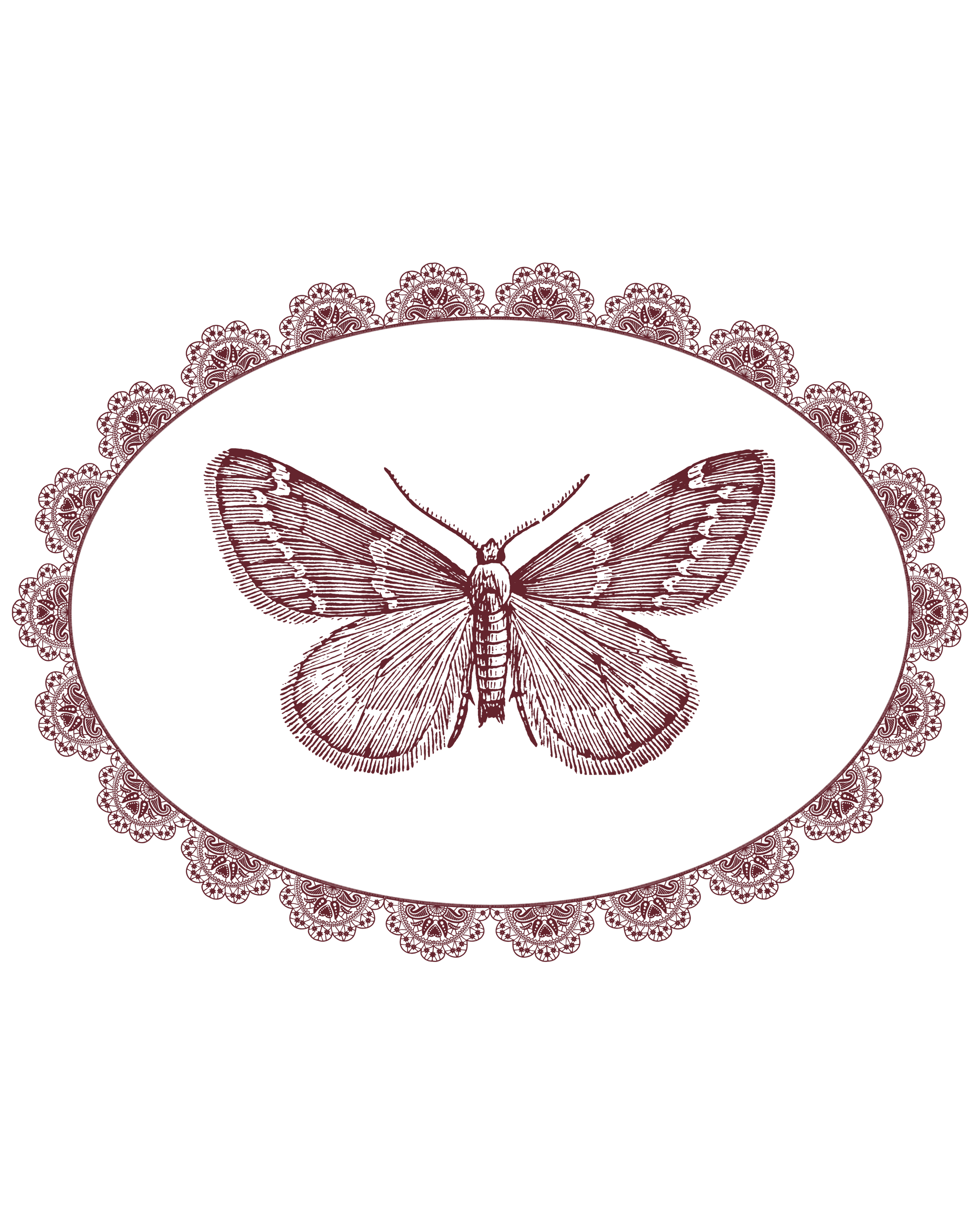 A detailed illustration of a butterfly with intricate wing patterns, set against a black background, surrounded by a decorative lace-like border in maroon.