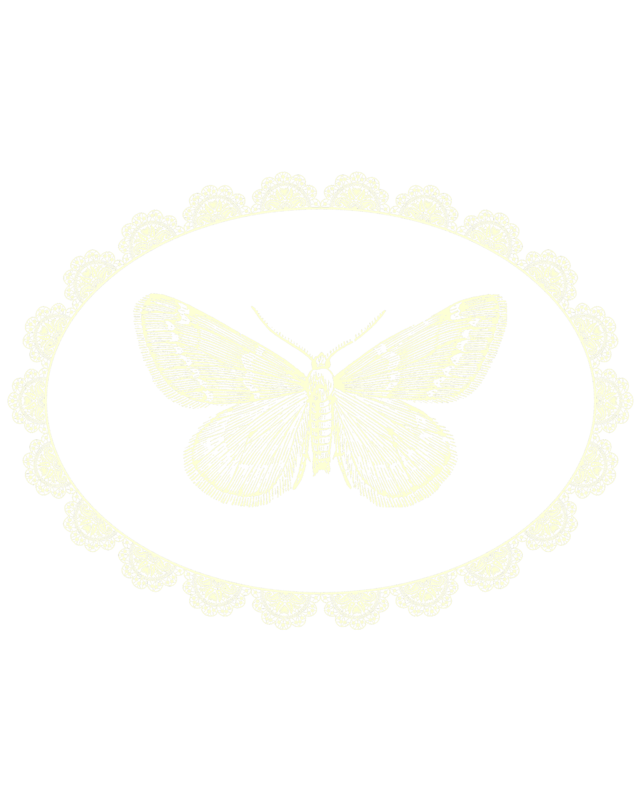 A detailed illustration of a moth with intricate detailing, surrounded by an ornate lace pattern on a black background.