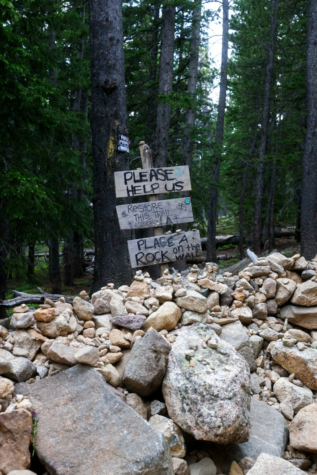 Three wooden signs nailed to a tree in a dense forest, with a pile of rocks in the foreground. The signs read: 'Please help us', 'Restore this trail', and 'Place a rock on the wall'.