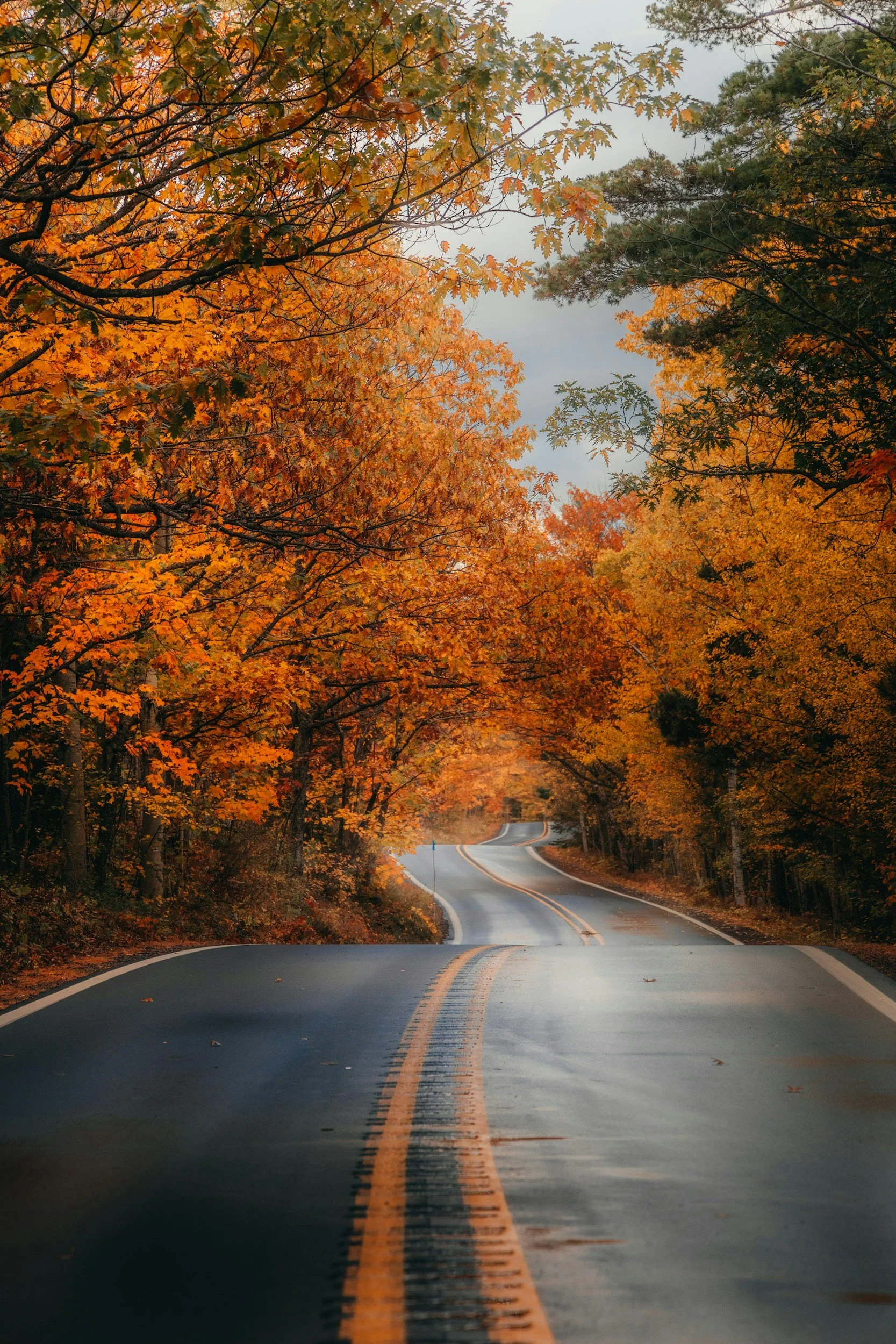A winding two-lane road cutting through a forest with vibrant autumn trees, orange and green leaves, under a cloudy sky.