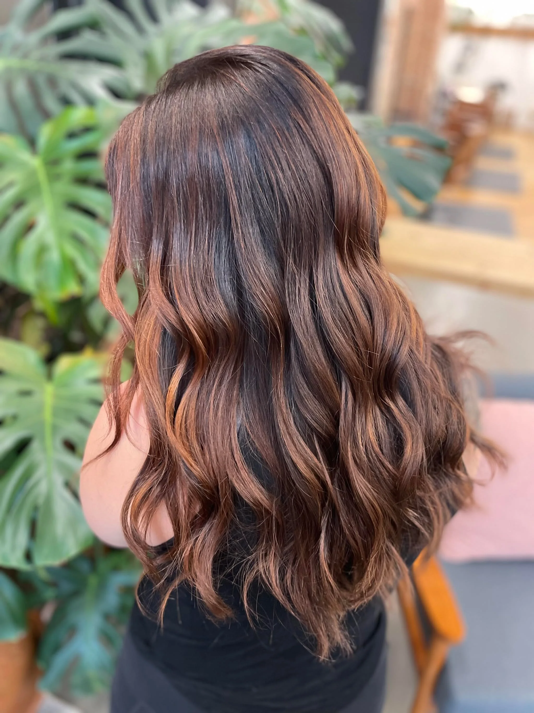 Person with long, wavy hair with brown and copper tones, viewed from the back, sitting indoors near a large green plant.
