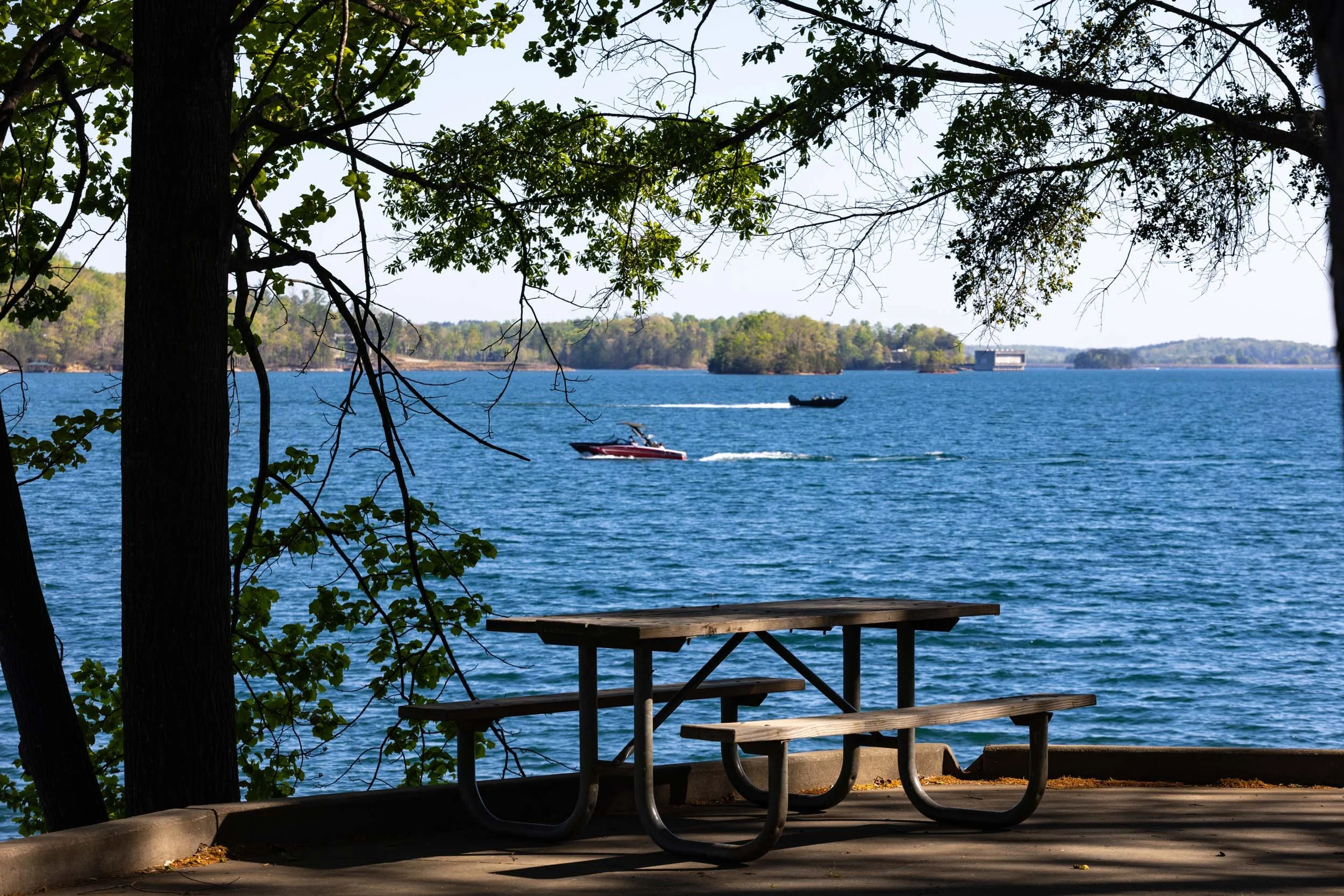 H3-LakeHartwellCountry-Spring2026-9479.jpg