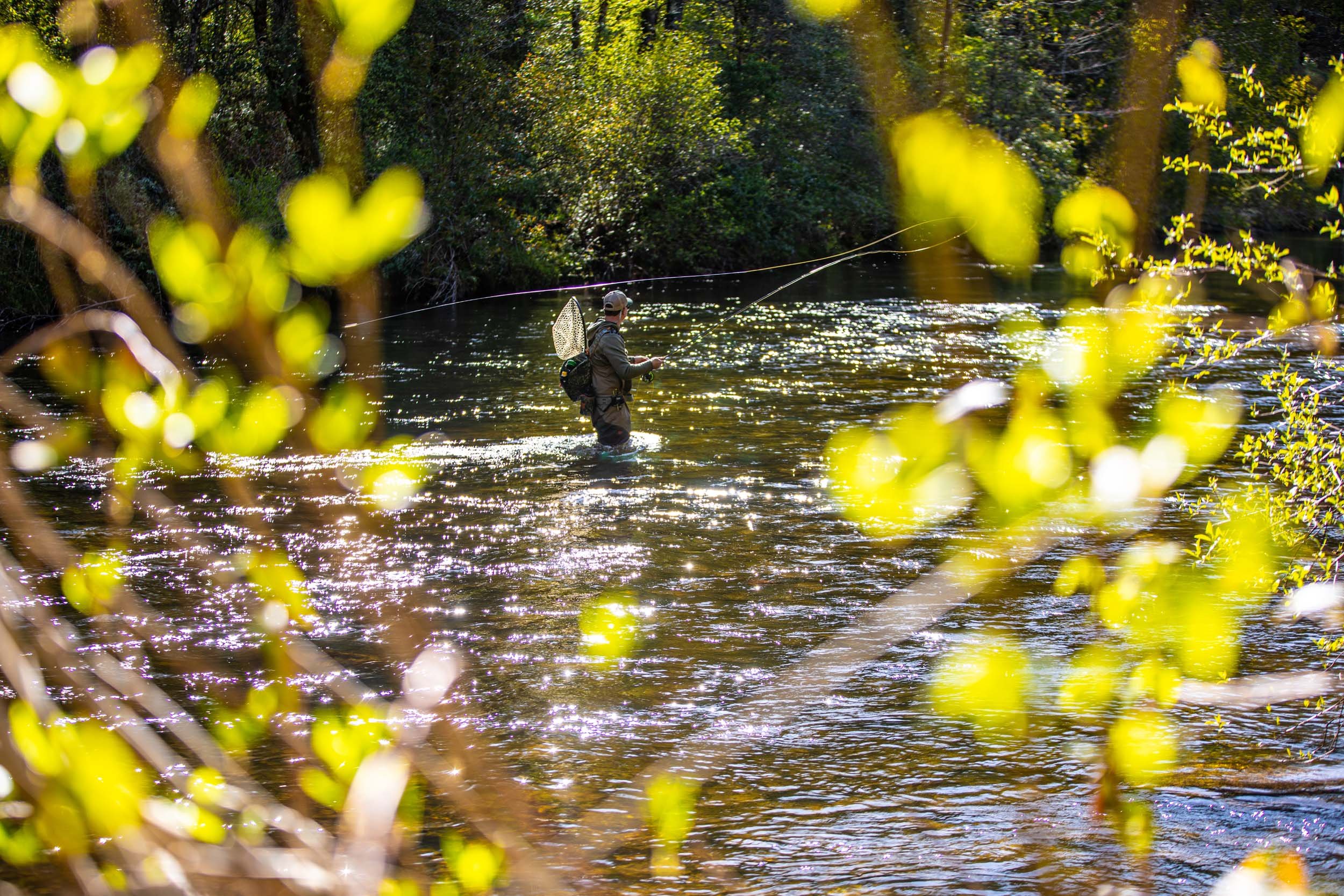 MH-LakeHartwellCountry-DayOne-0301.jpg