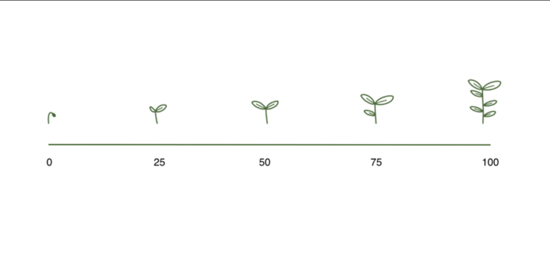 Seed to Tree Scale - Knowledge, Practice, and Action