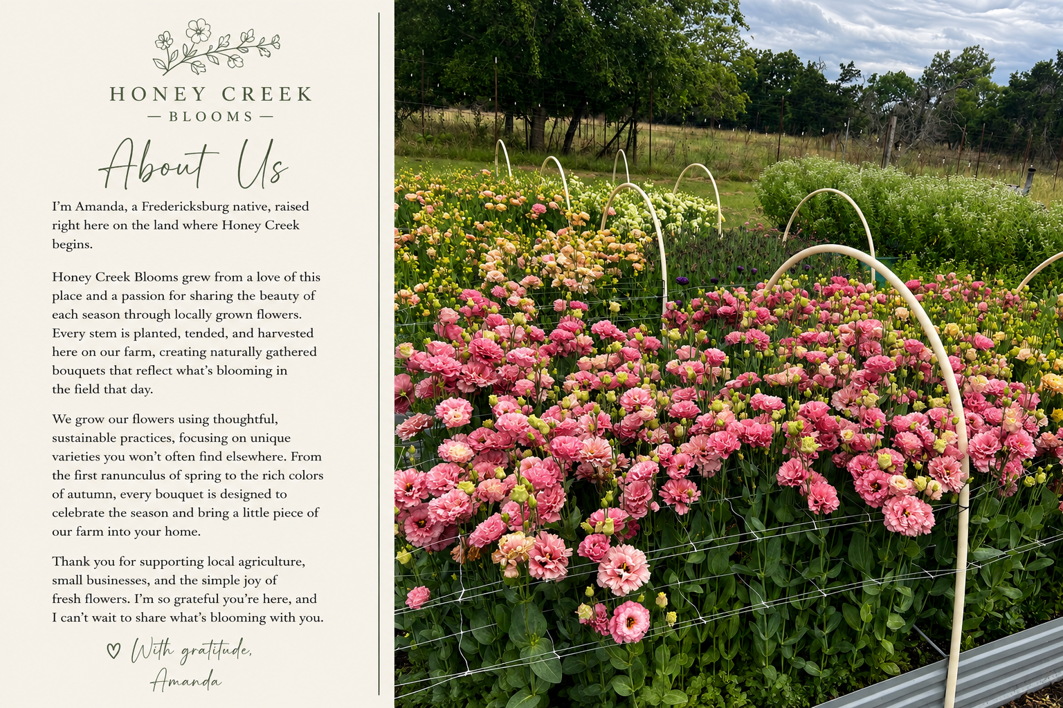 A display of colorful flowers, mainly pink, in a farm garden with white arches and greenery in the background.