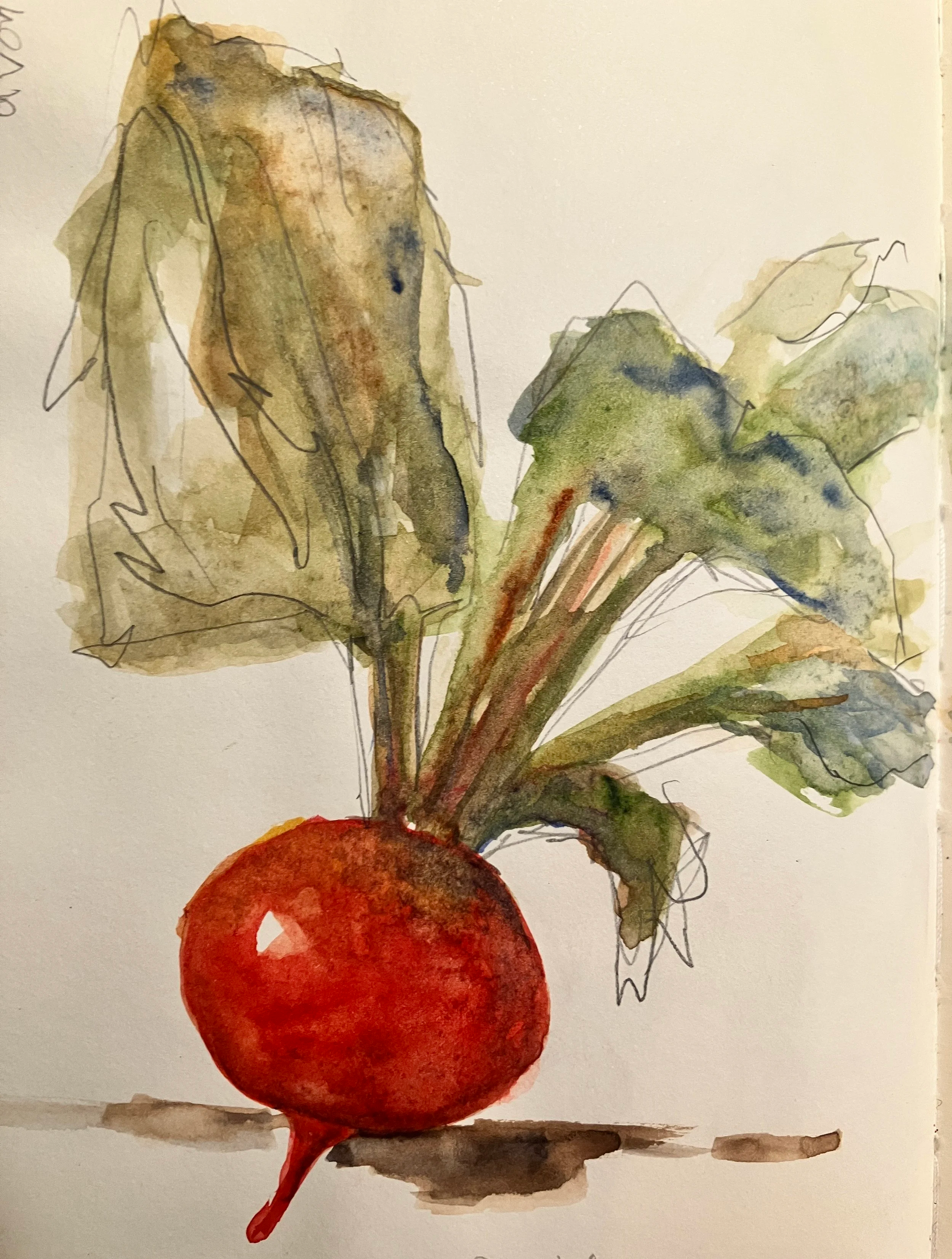 A watercolor painting of a beet with green leaves and a red root, with a light background.