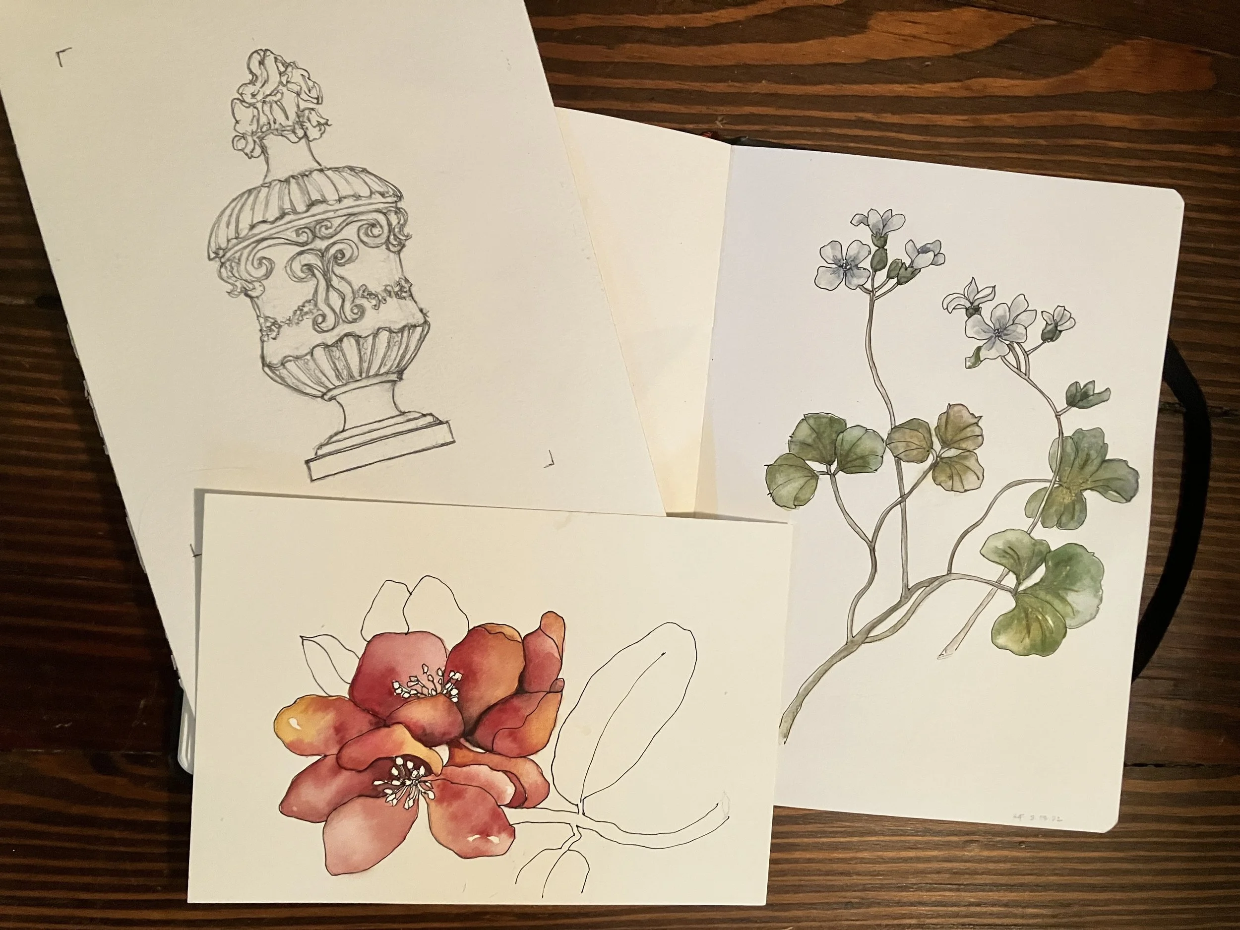Sketch of a decorative urn with flowers and a detailed botanical illustration of a flowering plant with green leaves.