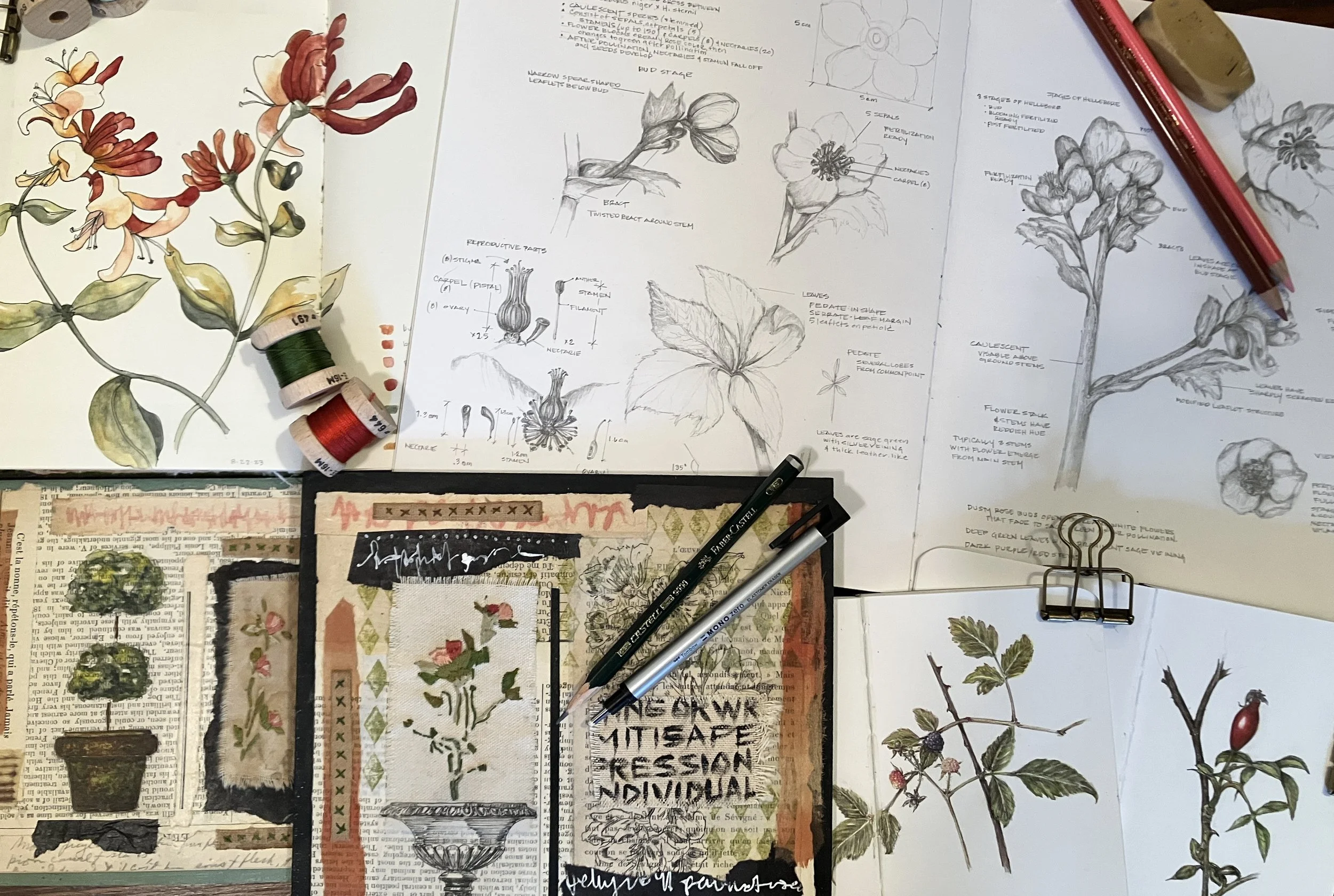 Schematics and illustrations of plants and flowers, with handwritten notes and sketches on botanical structures, including flowers, leaves, and stems, on various sheets of paper.