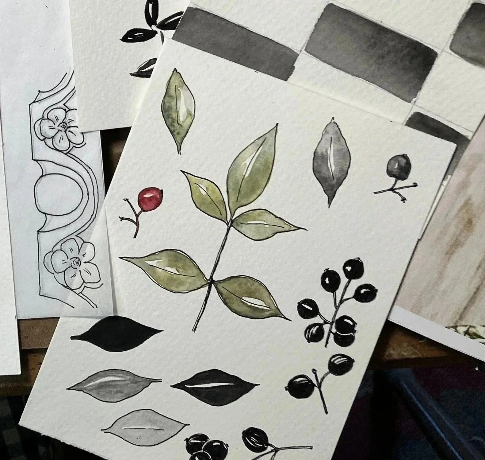 Multiple sheets of paper with hand-drawn botanical illustrations, including leaves, berries, and flowers, with some sections left uncolored and others partially colored in green and black watercolor.