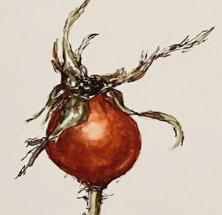 A watercolor painting of a single onion with green sprouting leaves.