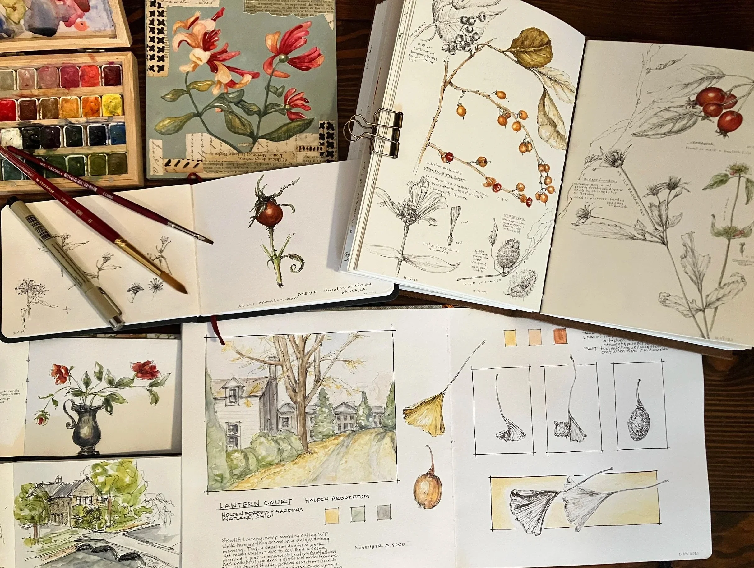 A collection of botanical sketches and watercolor paintings on paper, depicting various flowers, leaves, and plant stems, some with detailed notes and labels. A small watercolor palette with various colors is visible on the left side of the image. Pens and pencils are also placed on some of the sketches.