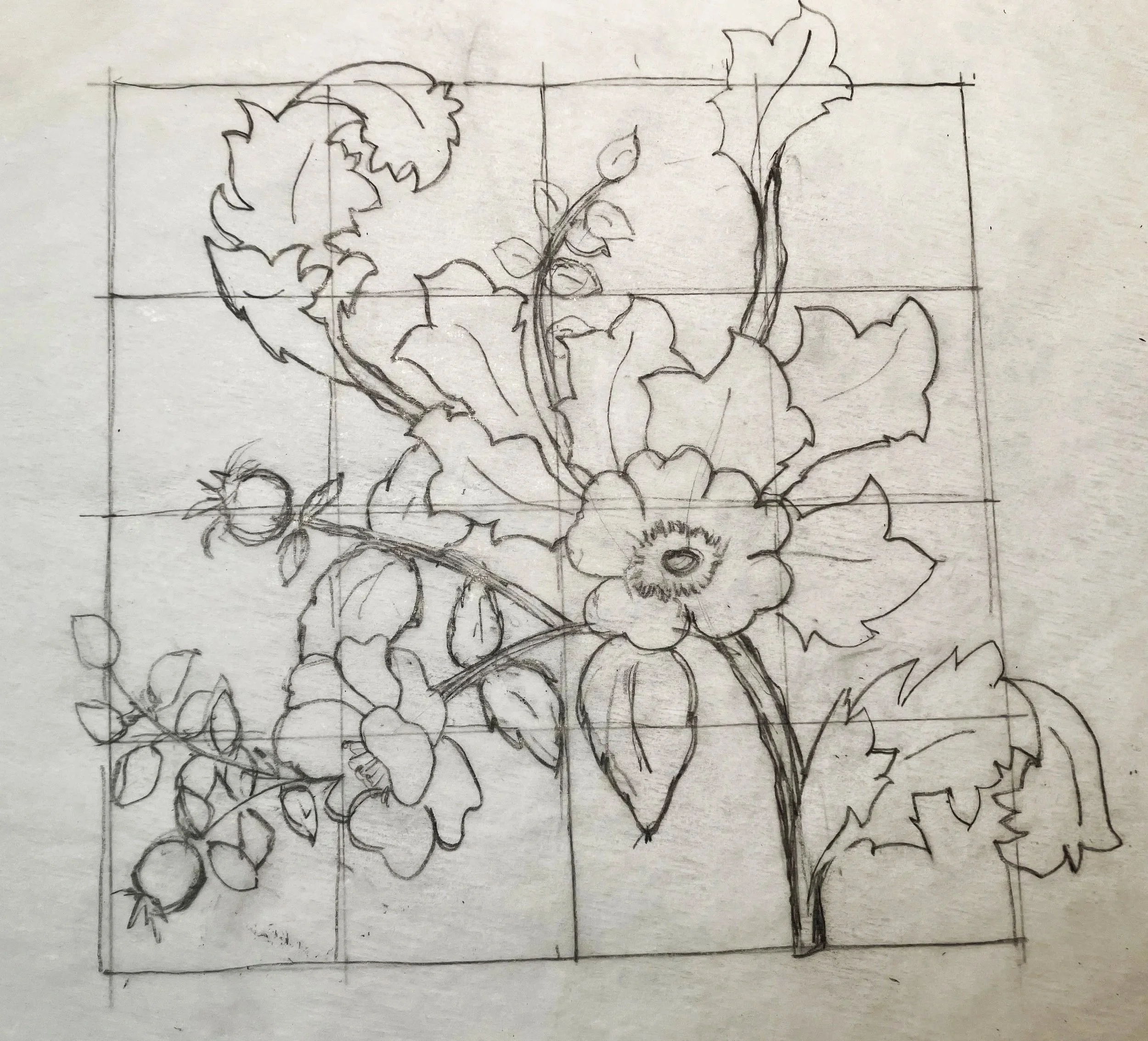 Hand-drawn trailing floral sketch of a floral arrangement with leaves, berries, and flowers on paper. Process of repeating patterns