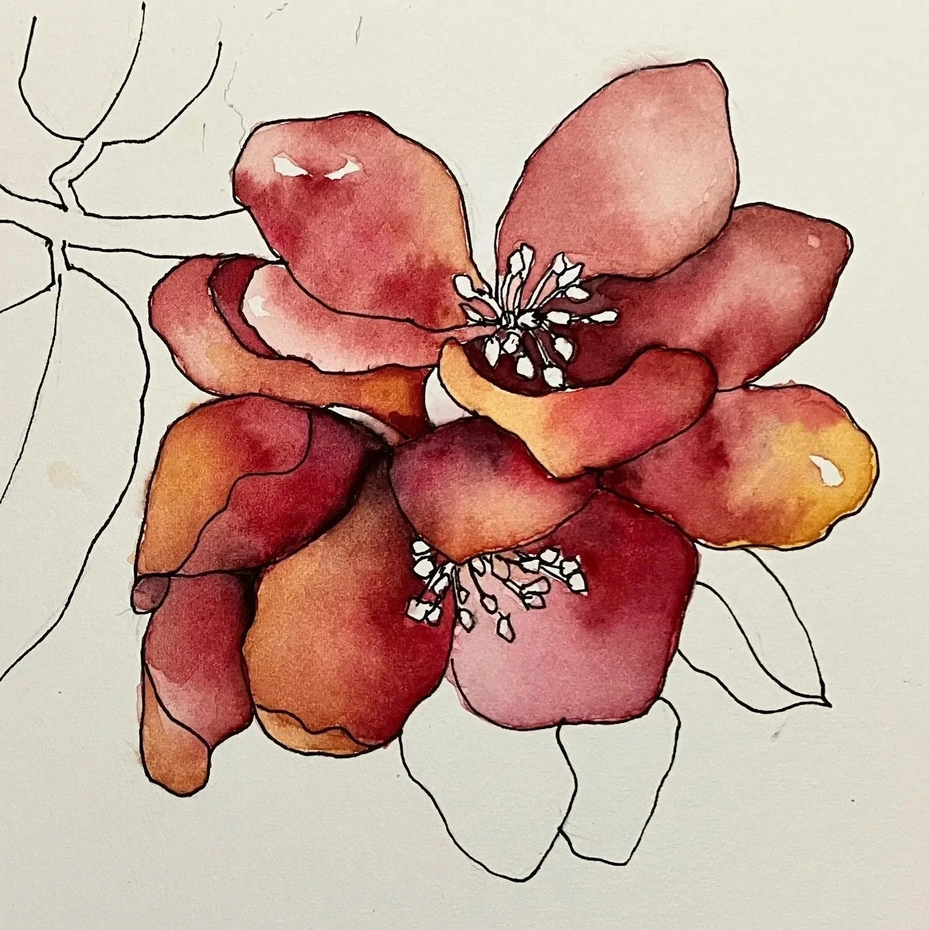 Watercolor painting of a cluster of red and pink flowers with black outlines and white details on a white background.