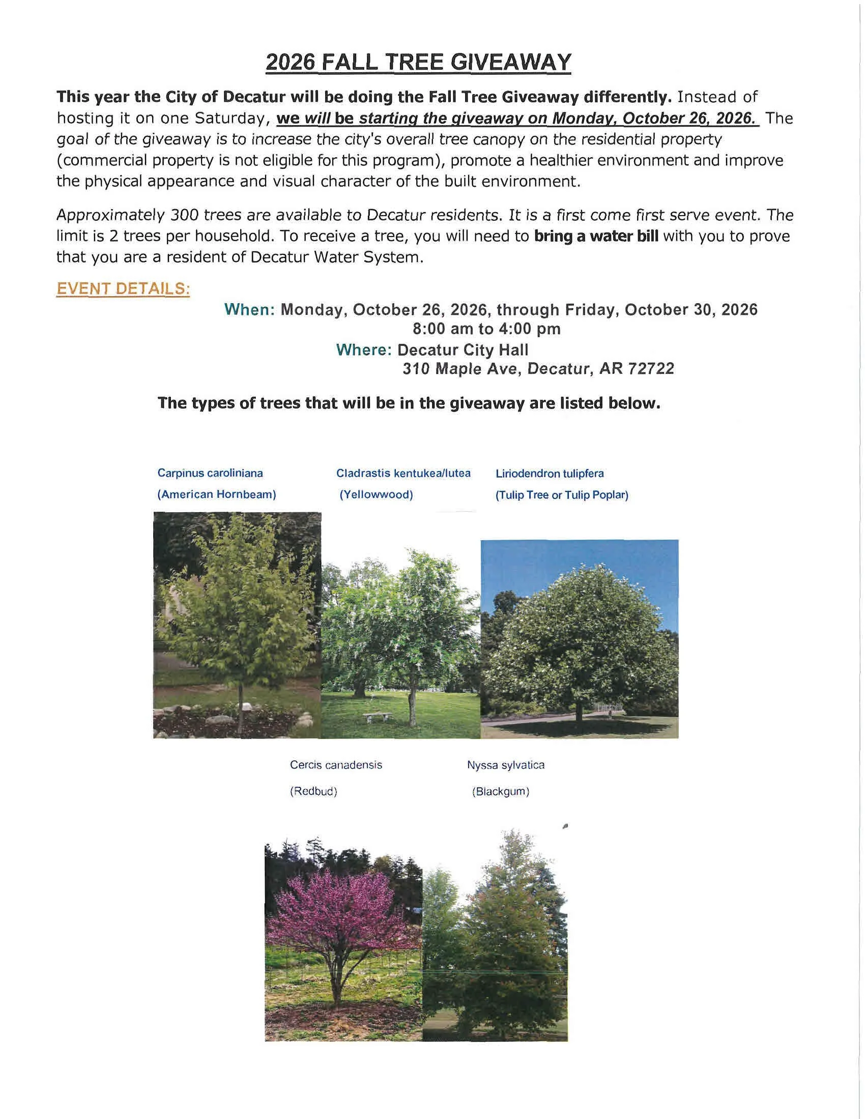 Fall Tree Giveaway