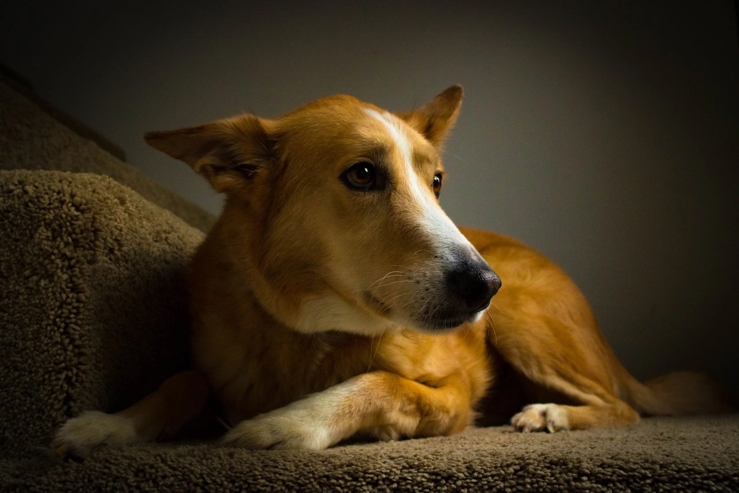 Portrait.jpg