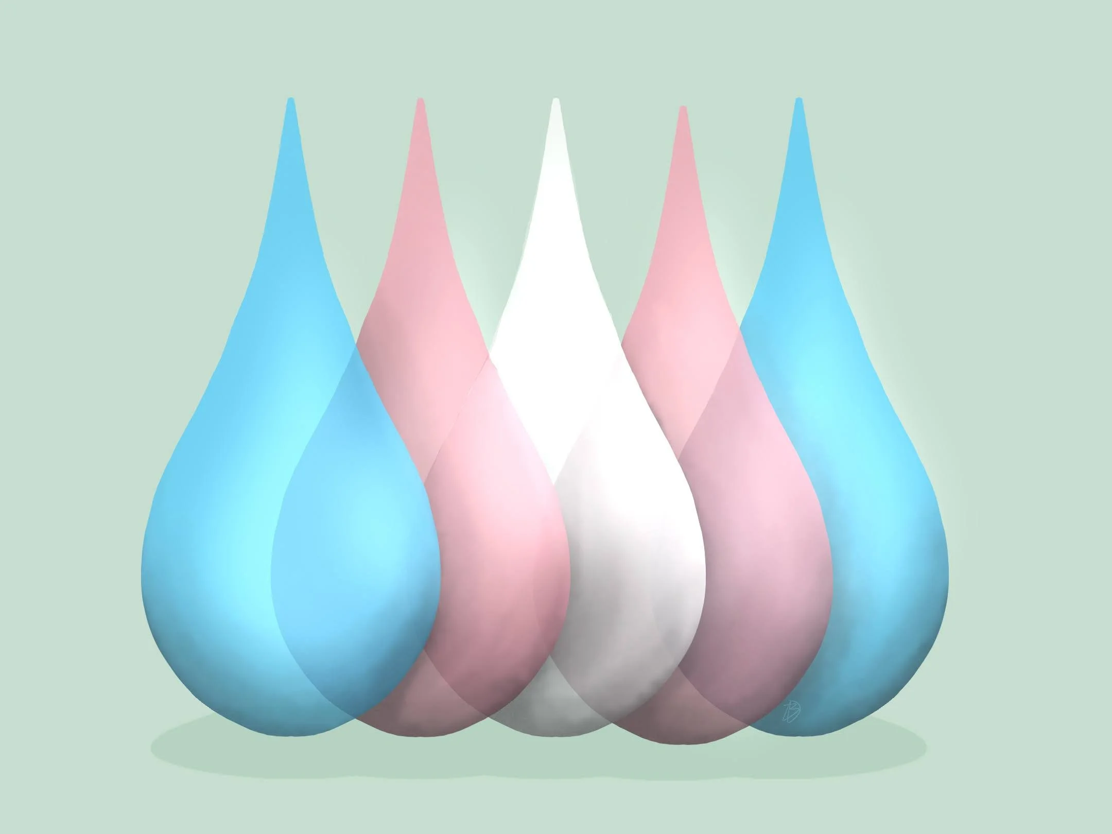 IMG_1040.png