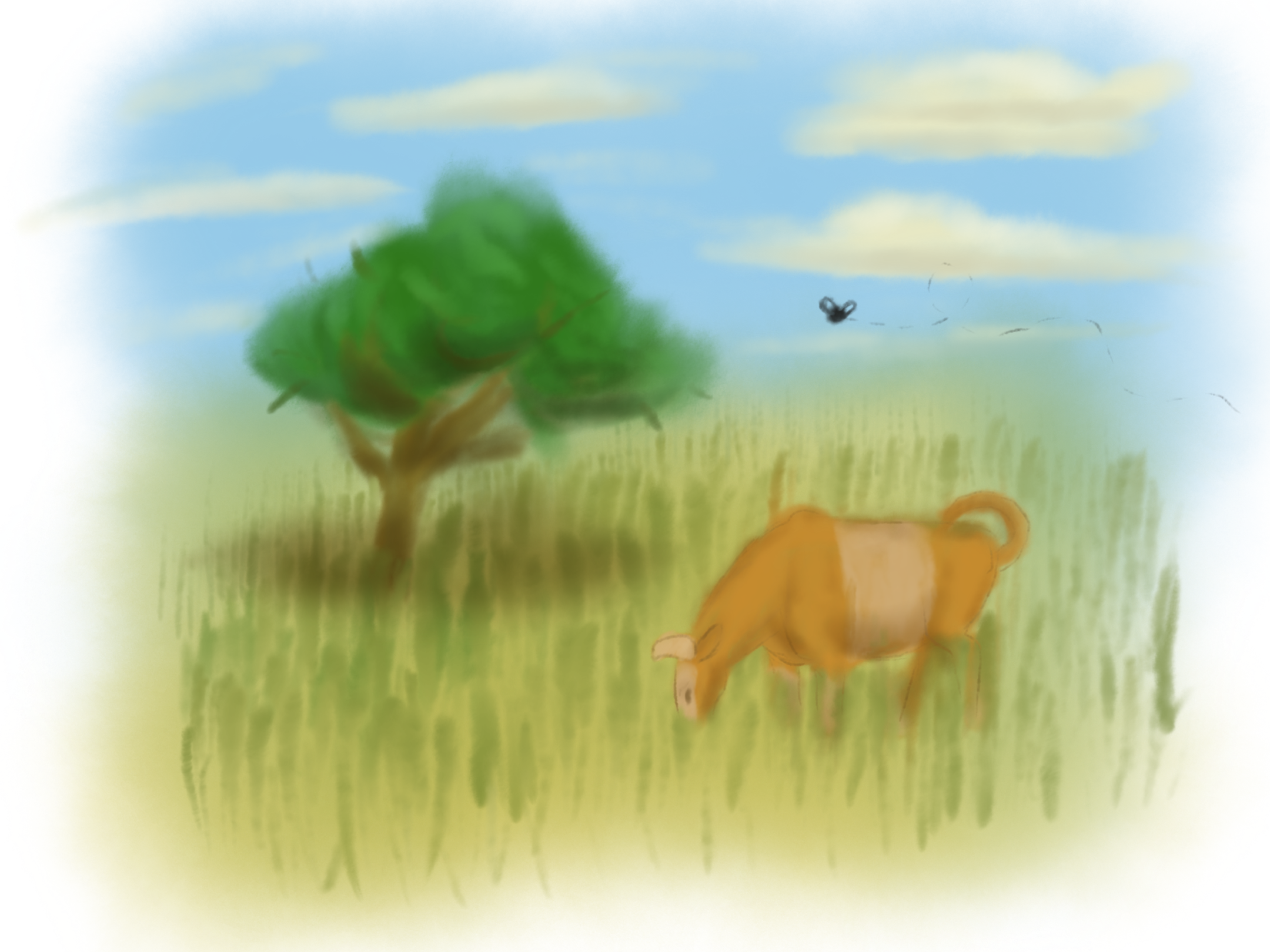 IMG_0763.PNG