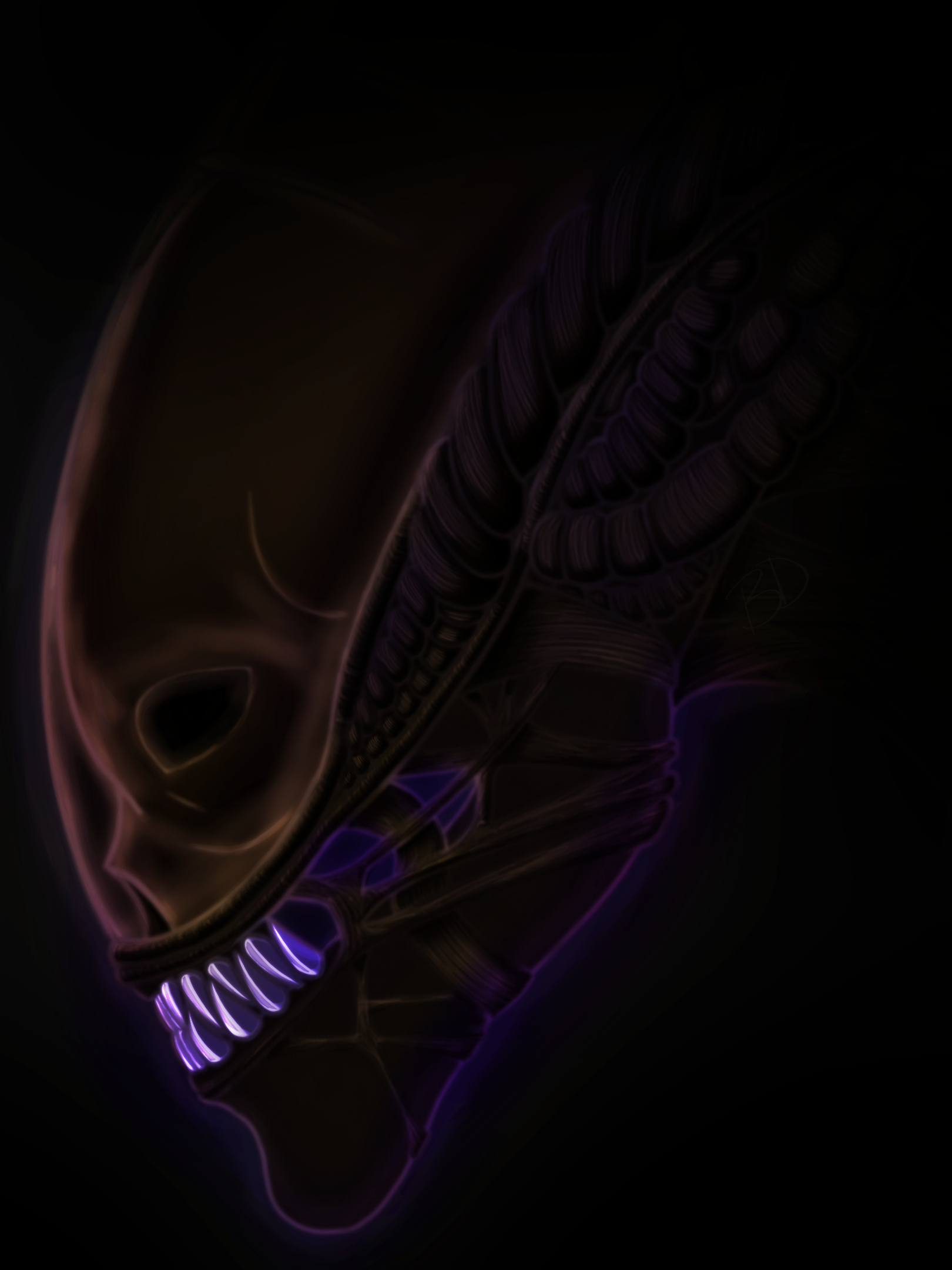 IMG_0772.PNG