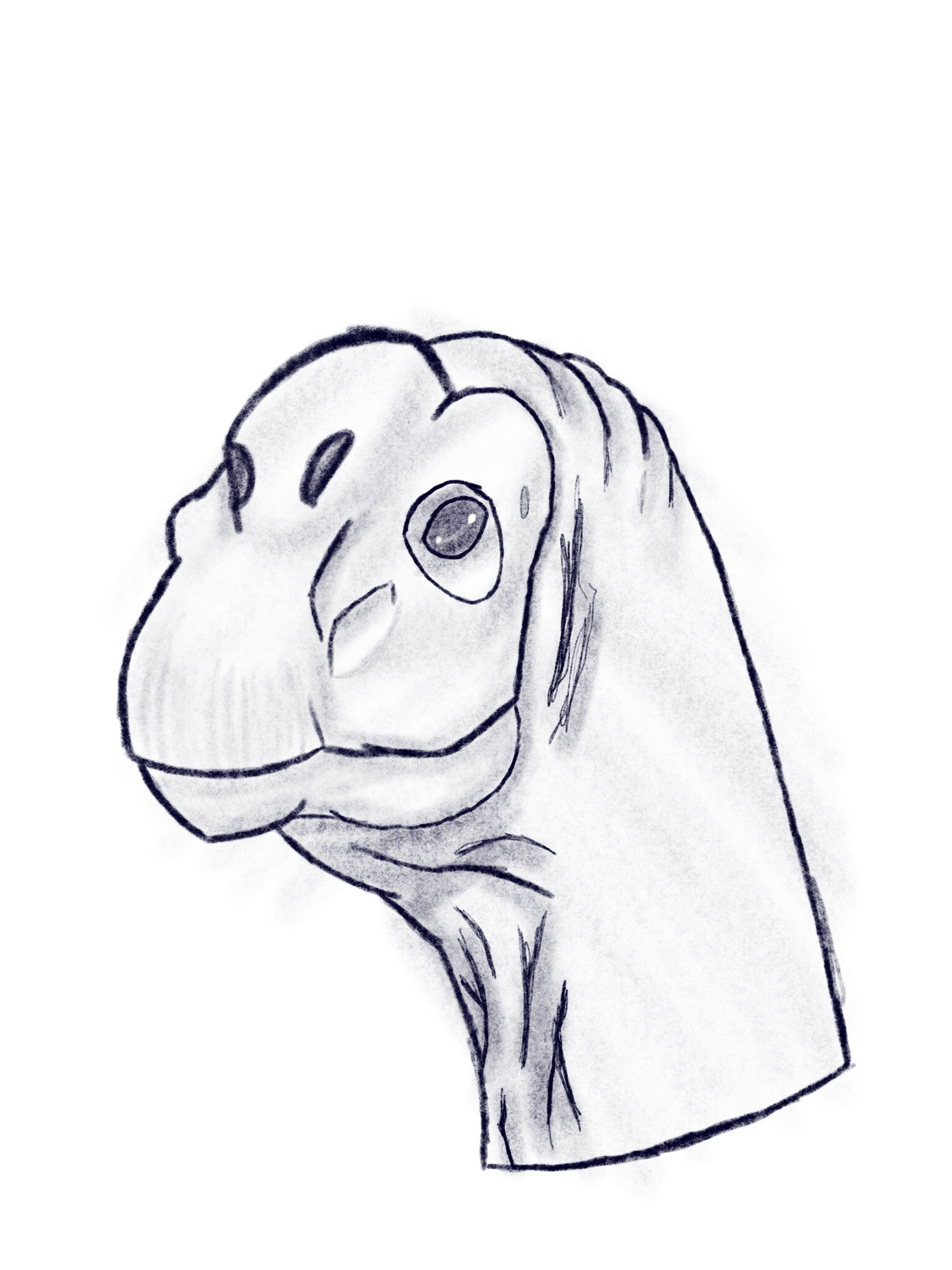 IMG_0695.PNG