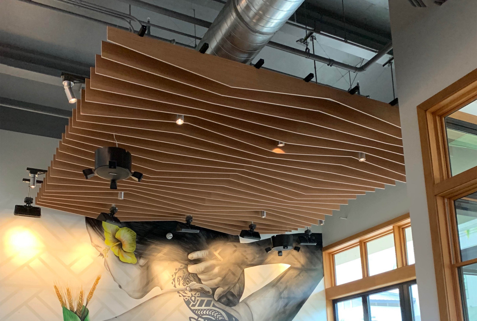 RESTURANTS & BUSINESS AUDIO, VISUAL & ACOUSTICS