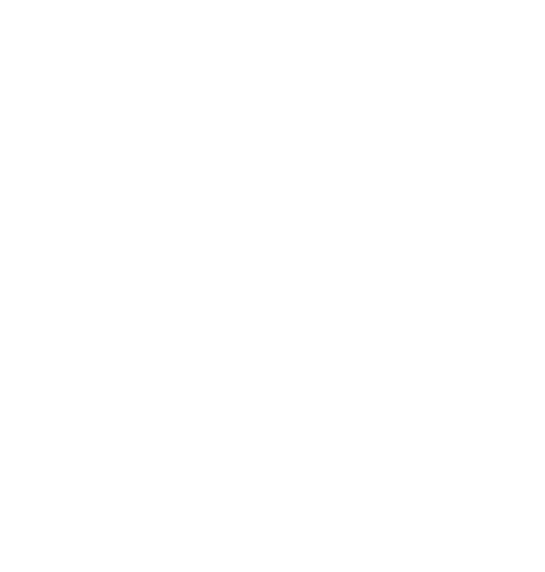 Iris Pflum