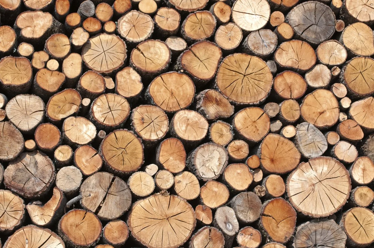 Stacked cut logs of various sizes with visible growth rings.