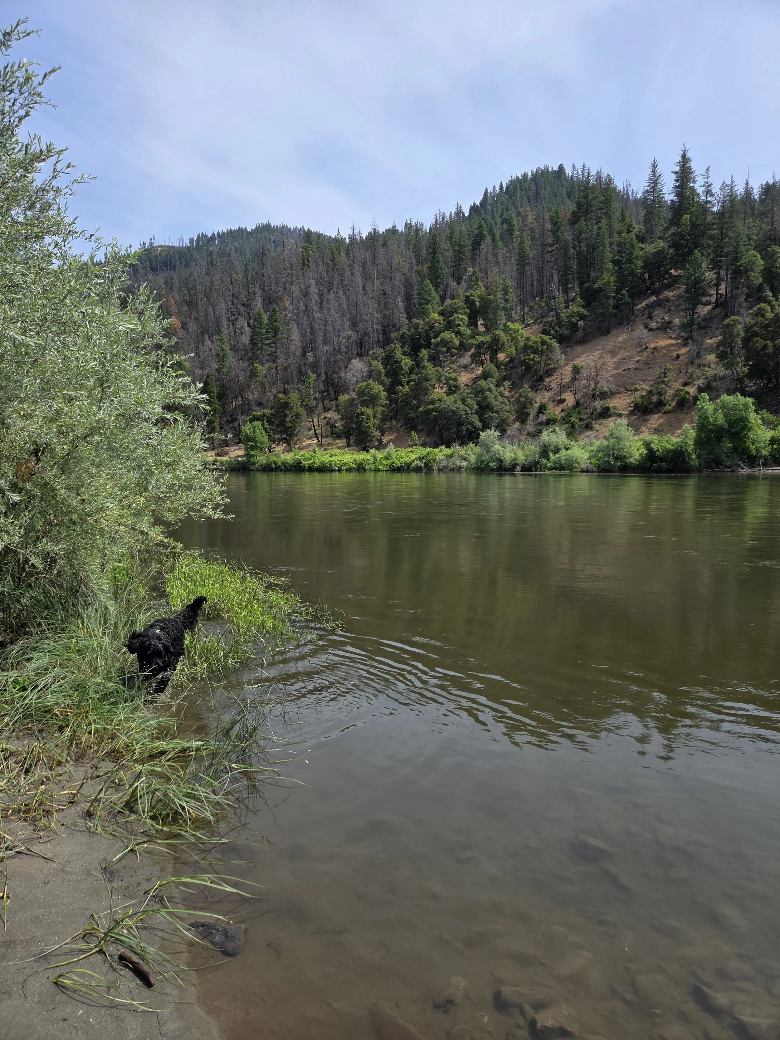 A river or lake with calm water, surrounded by green trees and a hillside in the background, under a partly cloudy sky.