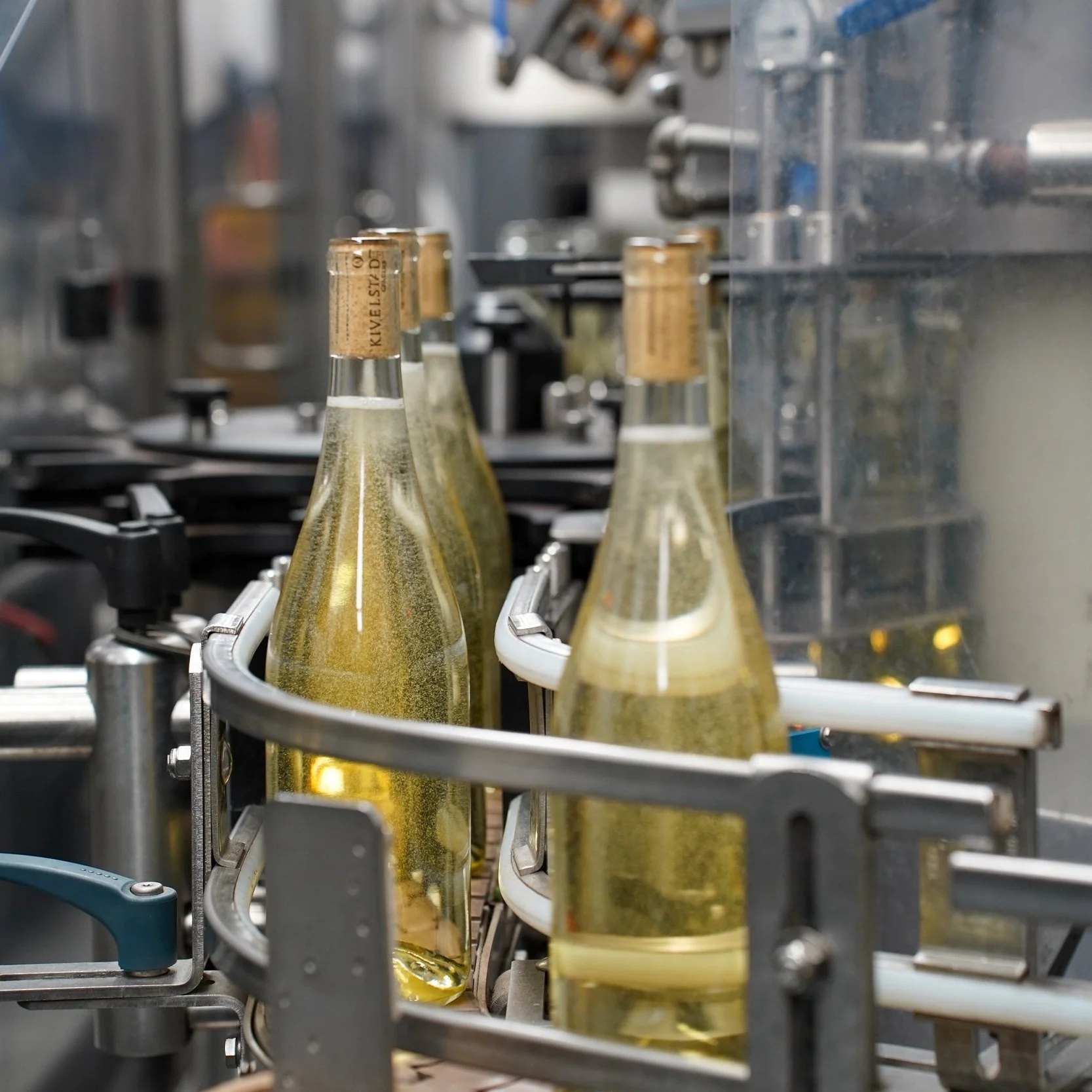 Freshly corked bottles of white wine moving along the Integrity mobile bottling line