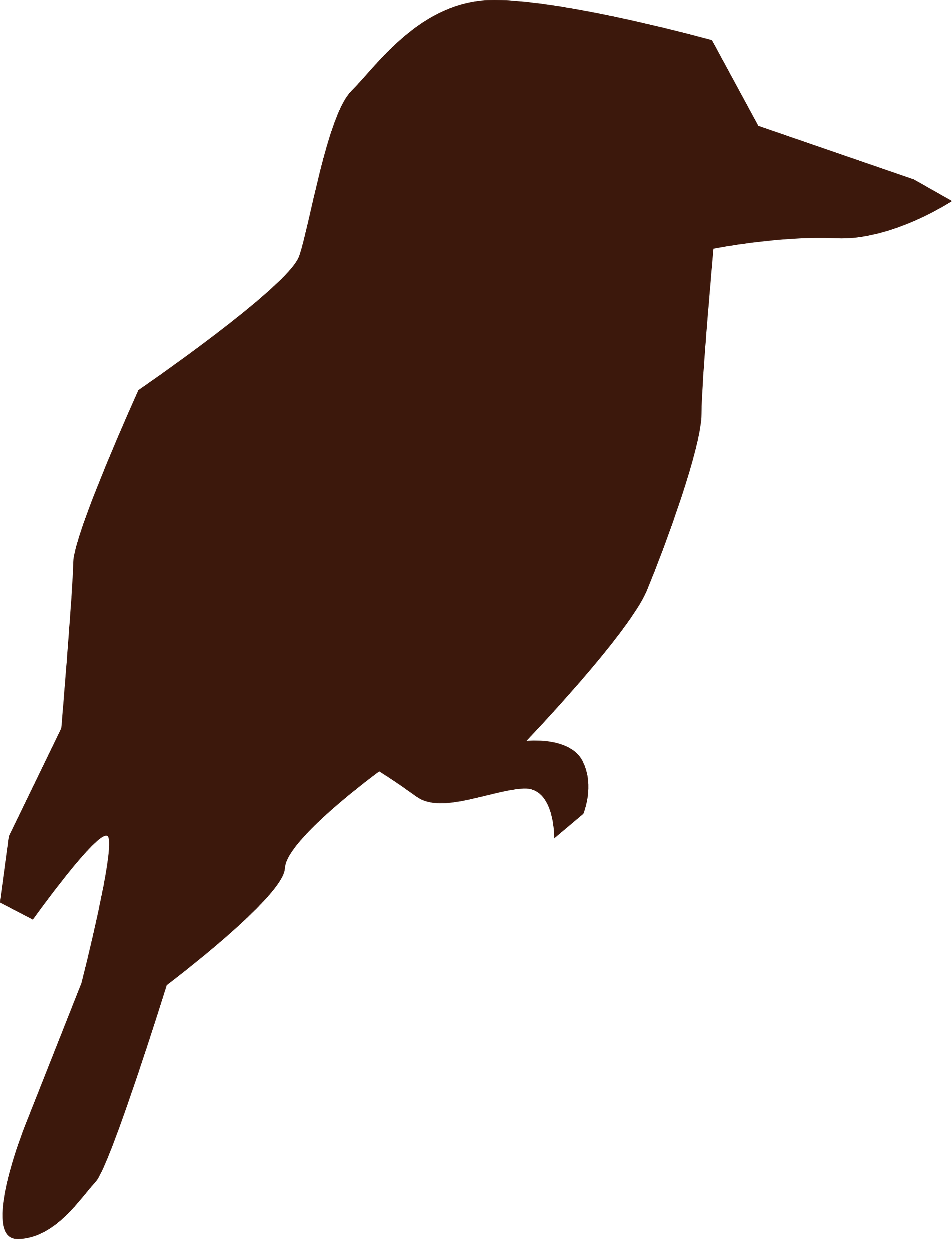 A kookaburra