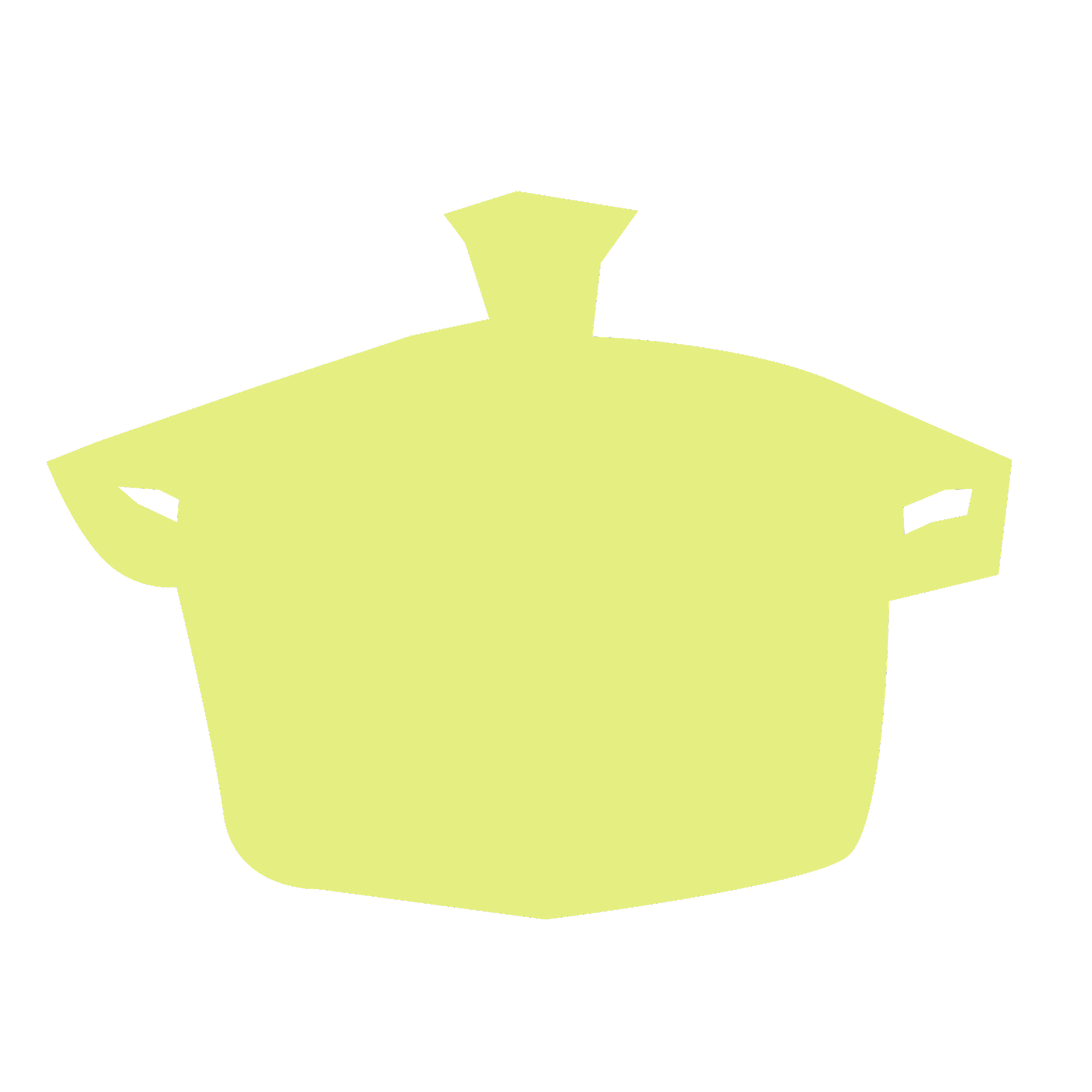 A large crock pot