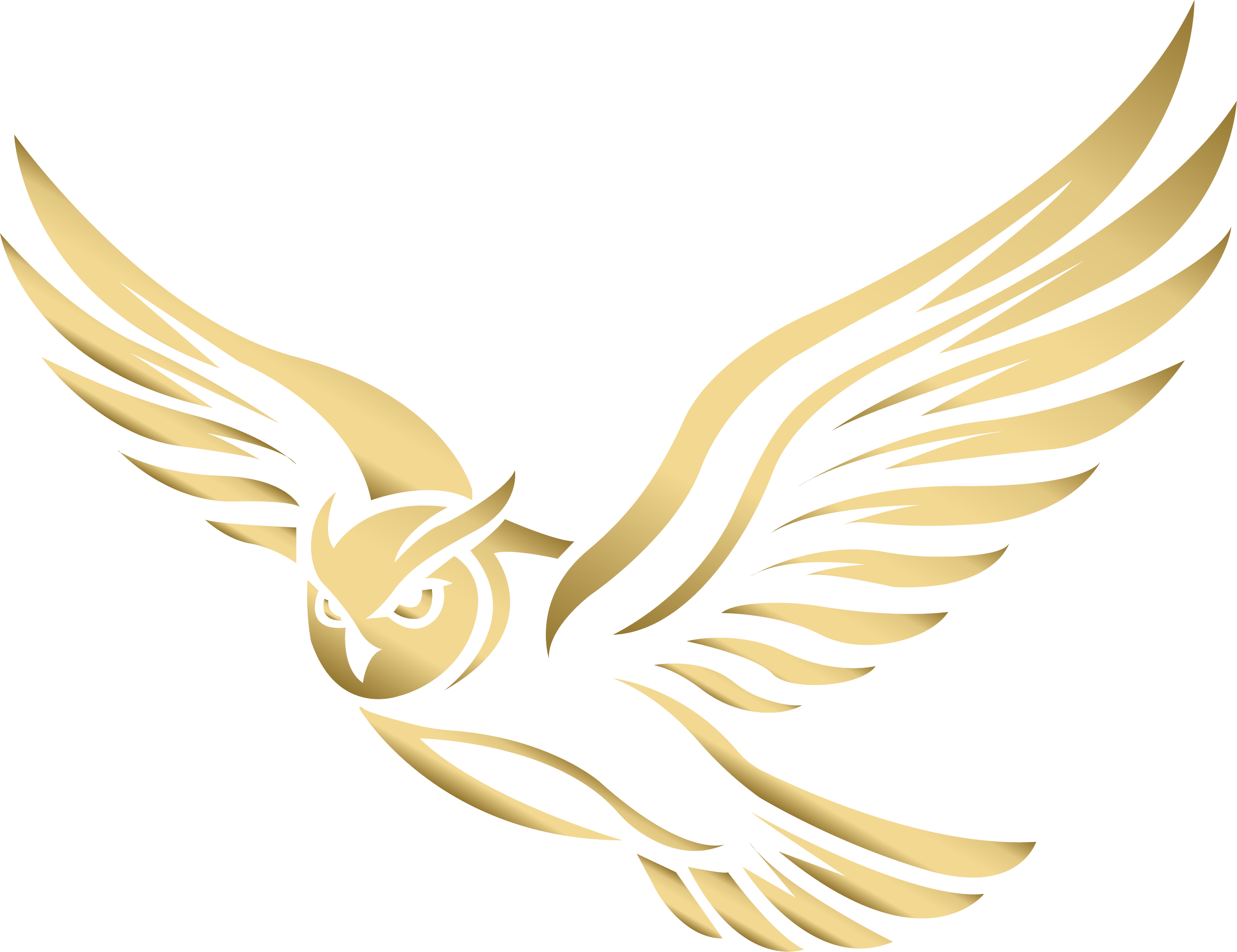 Golden owl design with black and white background.
