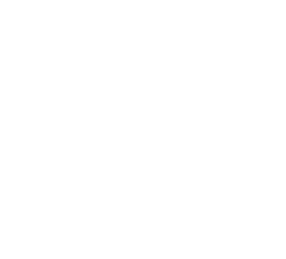 The image is blank with a white background.