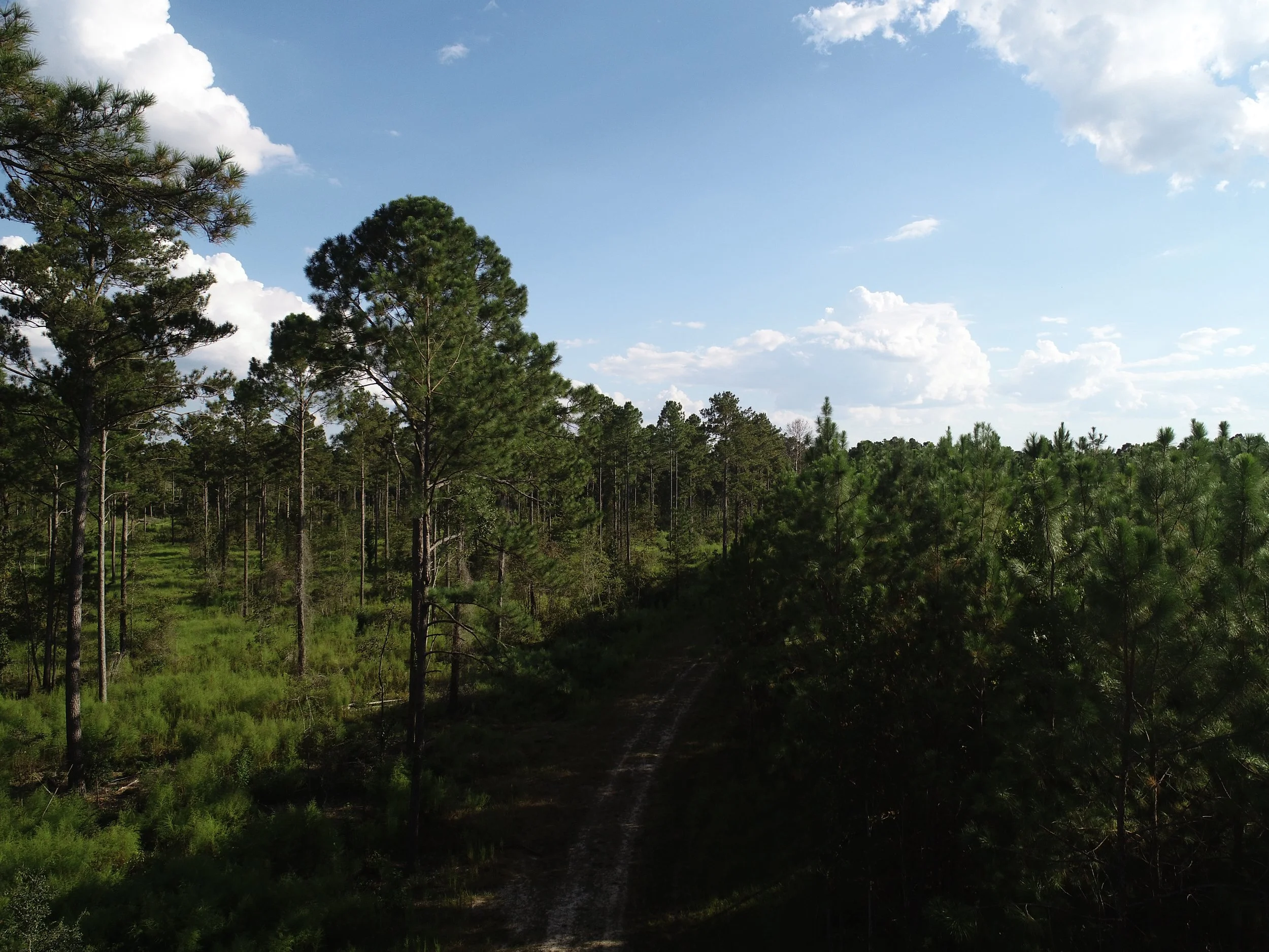 DJI_0660.JPG