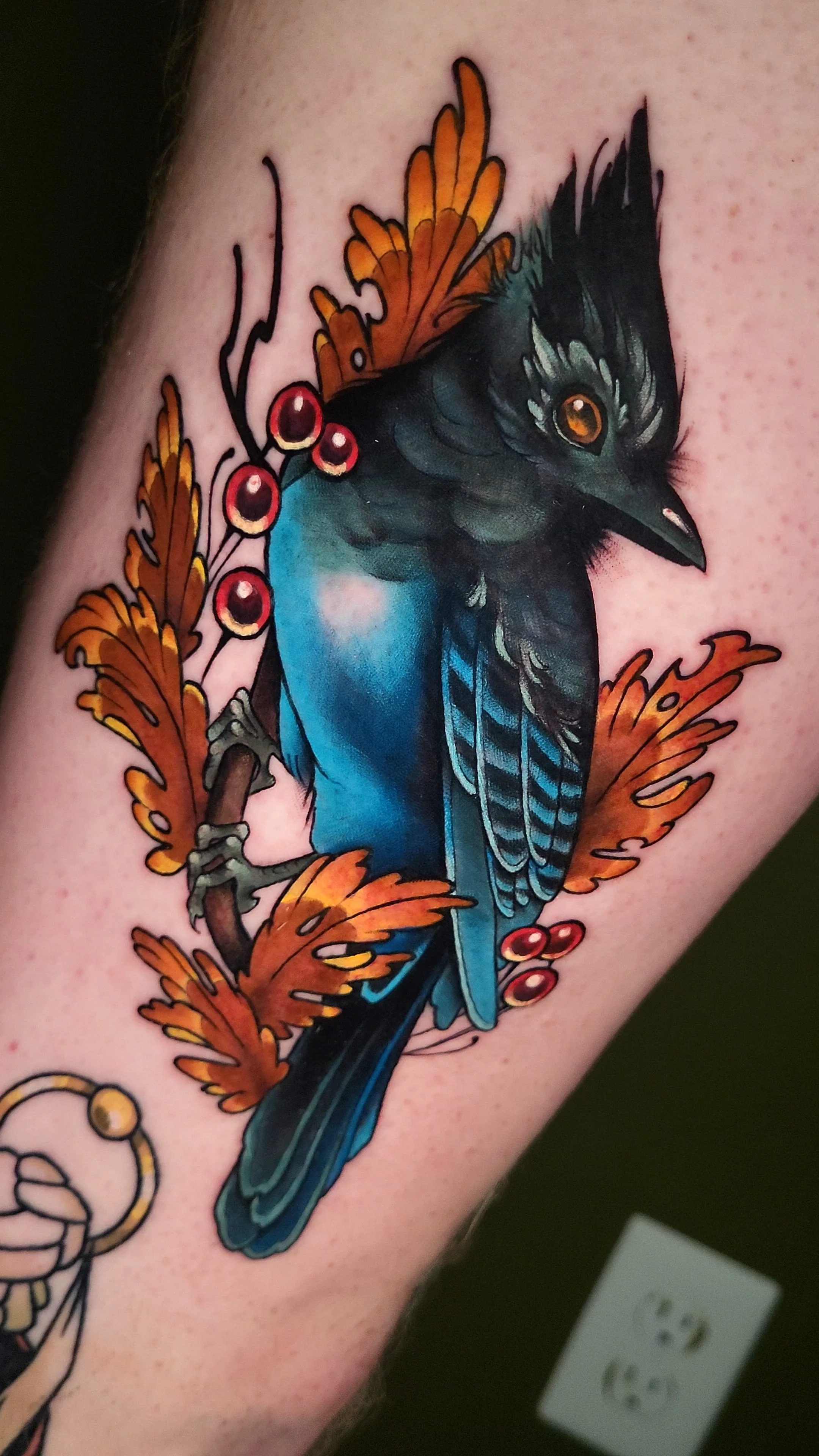 A colorful tattoo of a bird with black, blue, and orange feathers, seated on a branch surrounded by orange leaves and red berries.