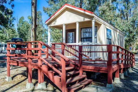 Cabin