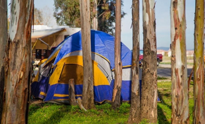 Tent Site