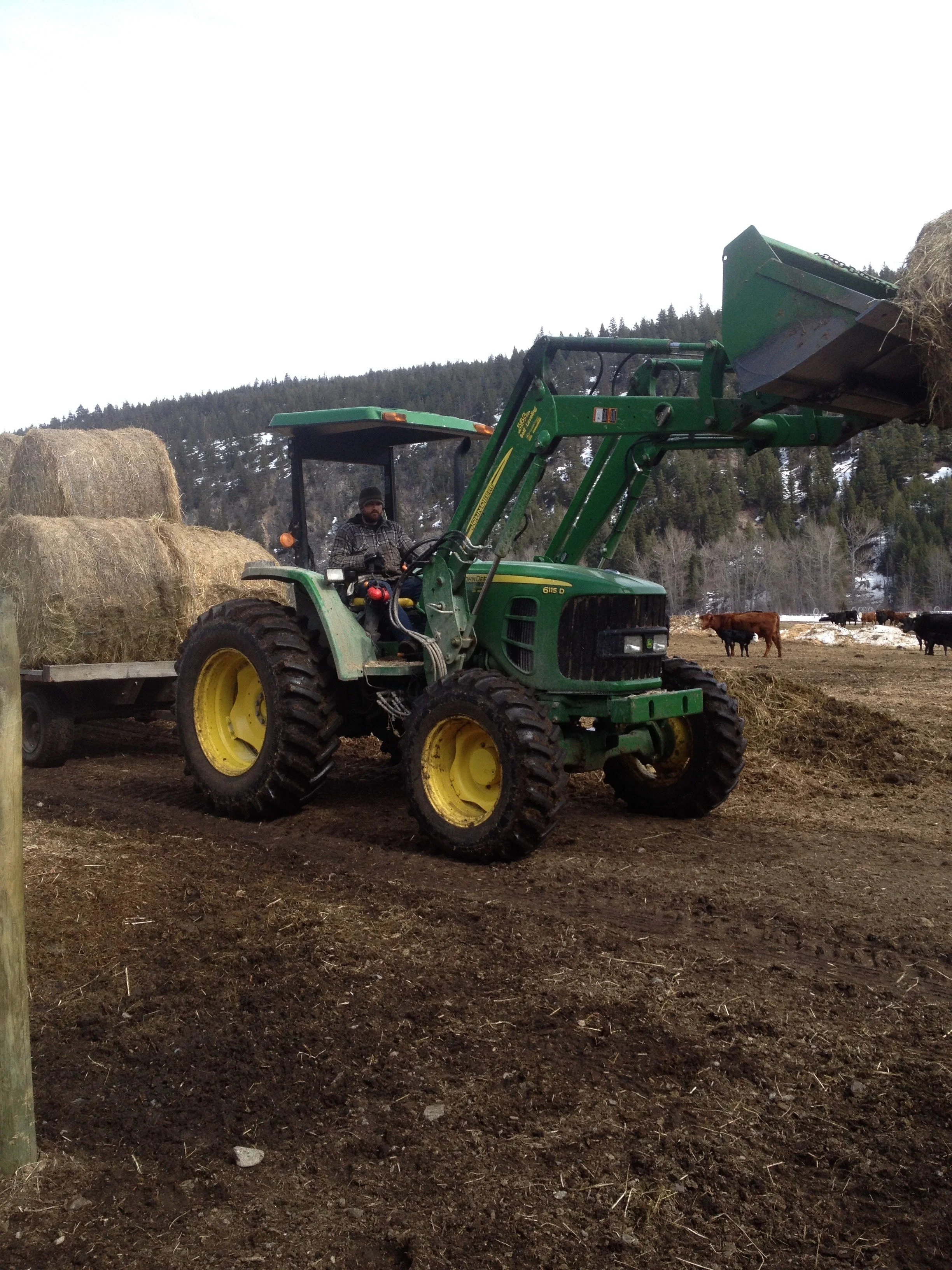 The next generation of the Mullin family enjoying life on the ranch in Logan Lake, BC.